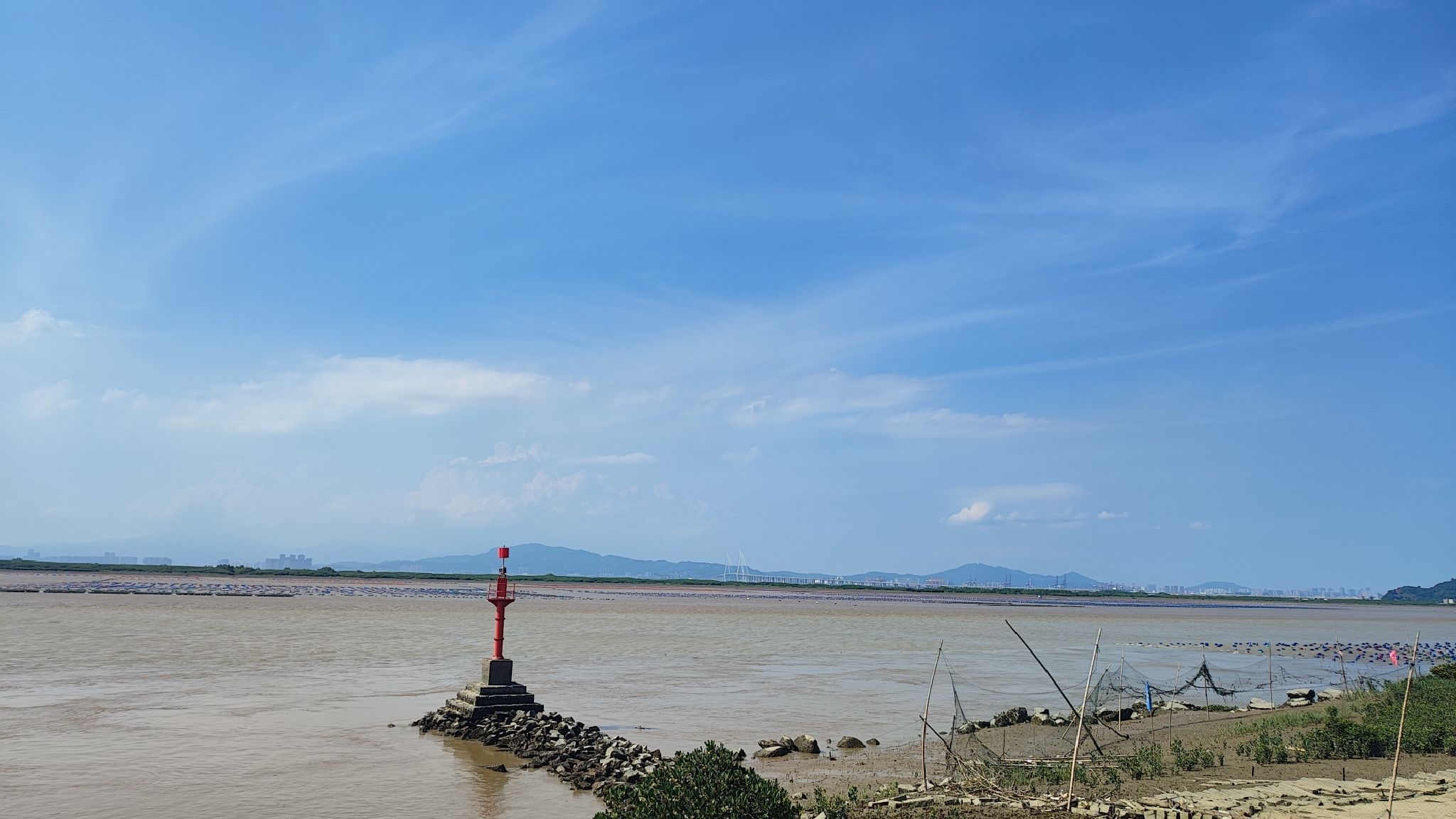 龙海红树林自然保护区旅行图片