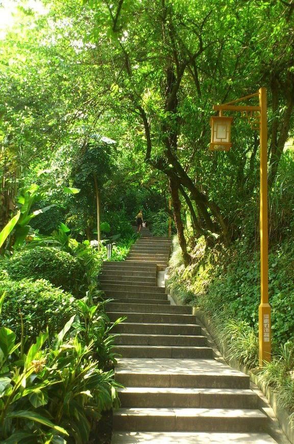 莲花山公园旅行图片