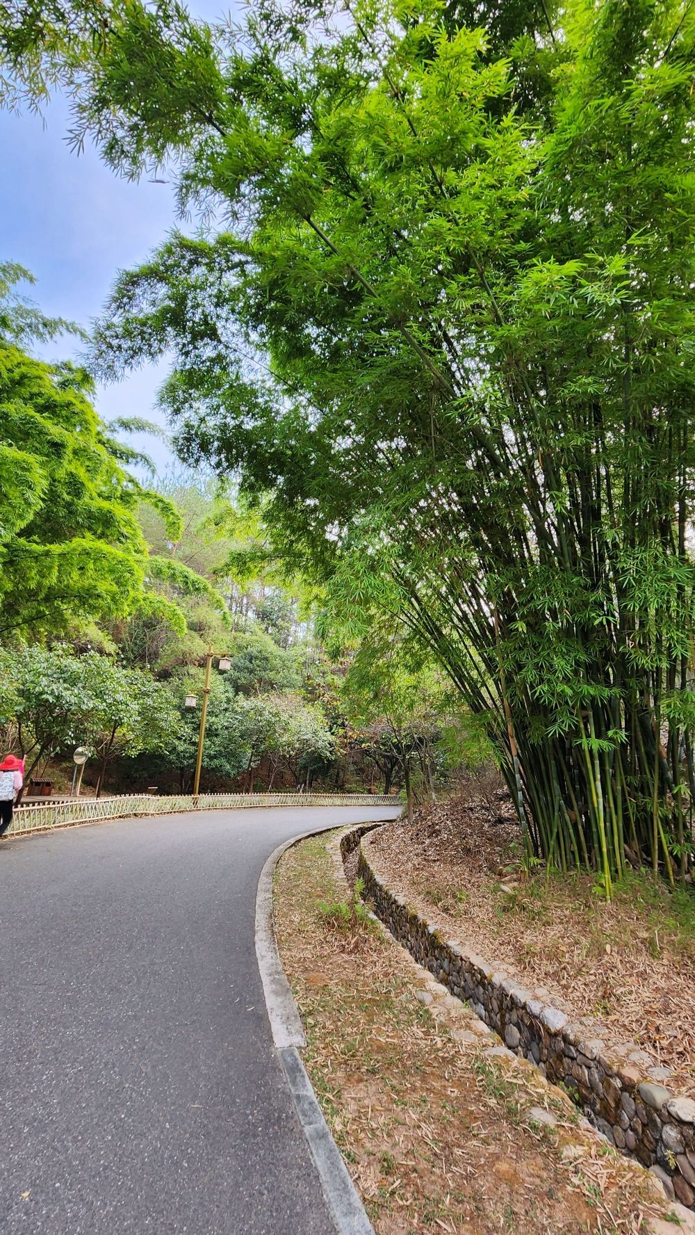 冠豸山景区
