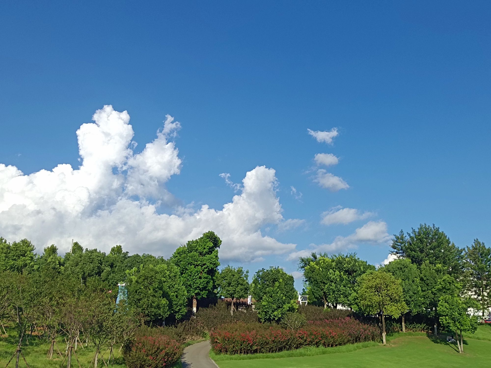 龙岩紫金山公园