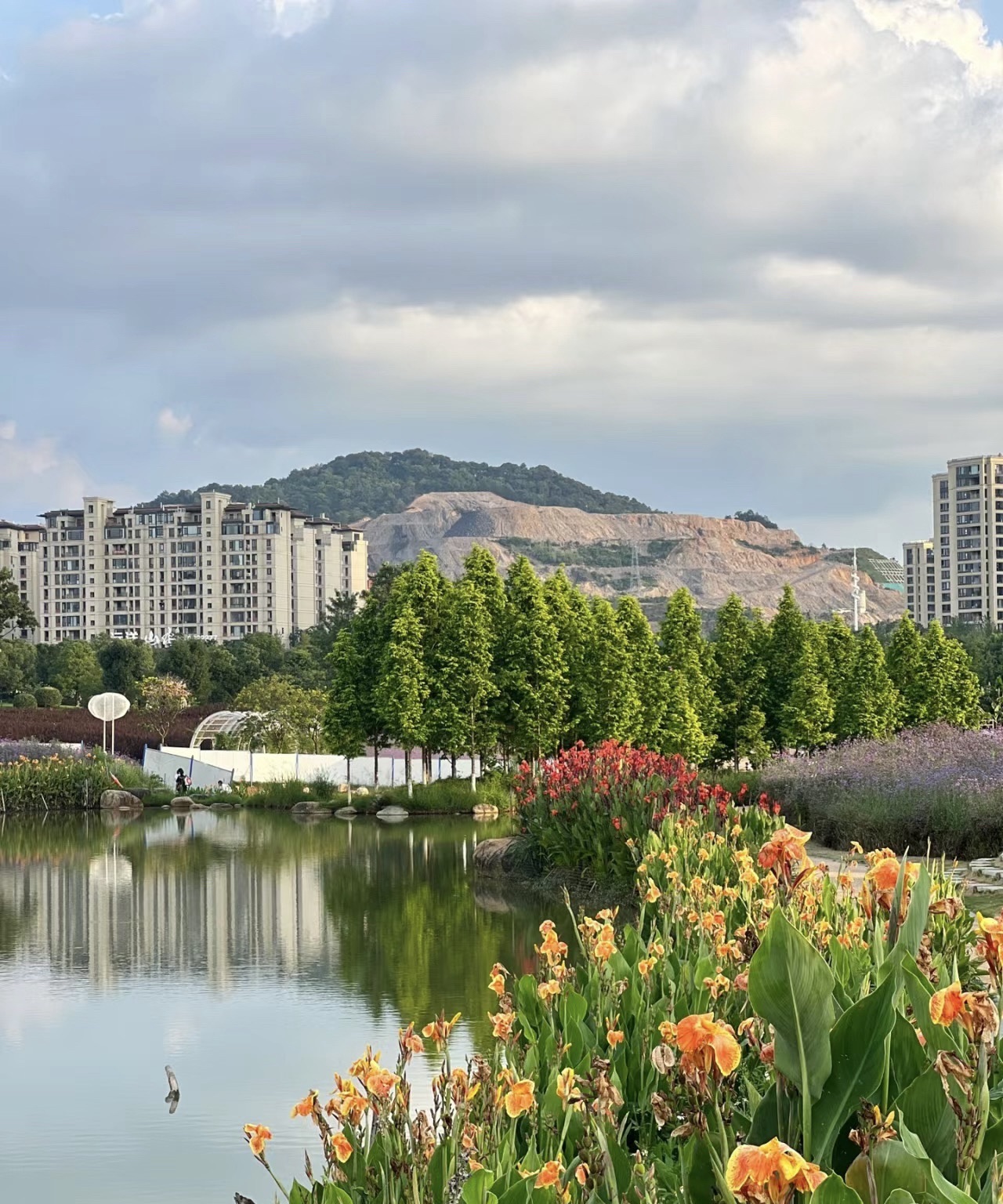 龙岩紫金山公园旅行图片