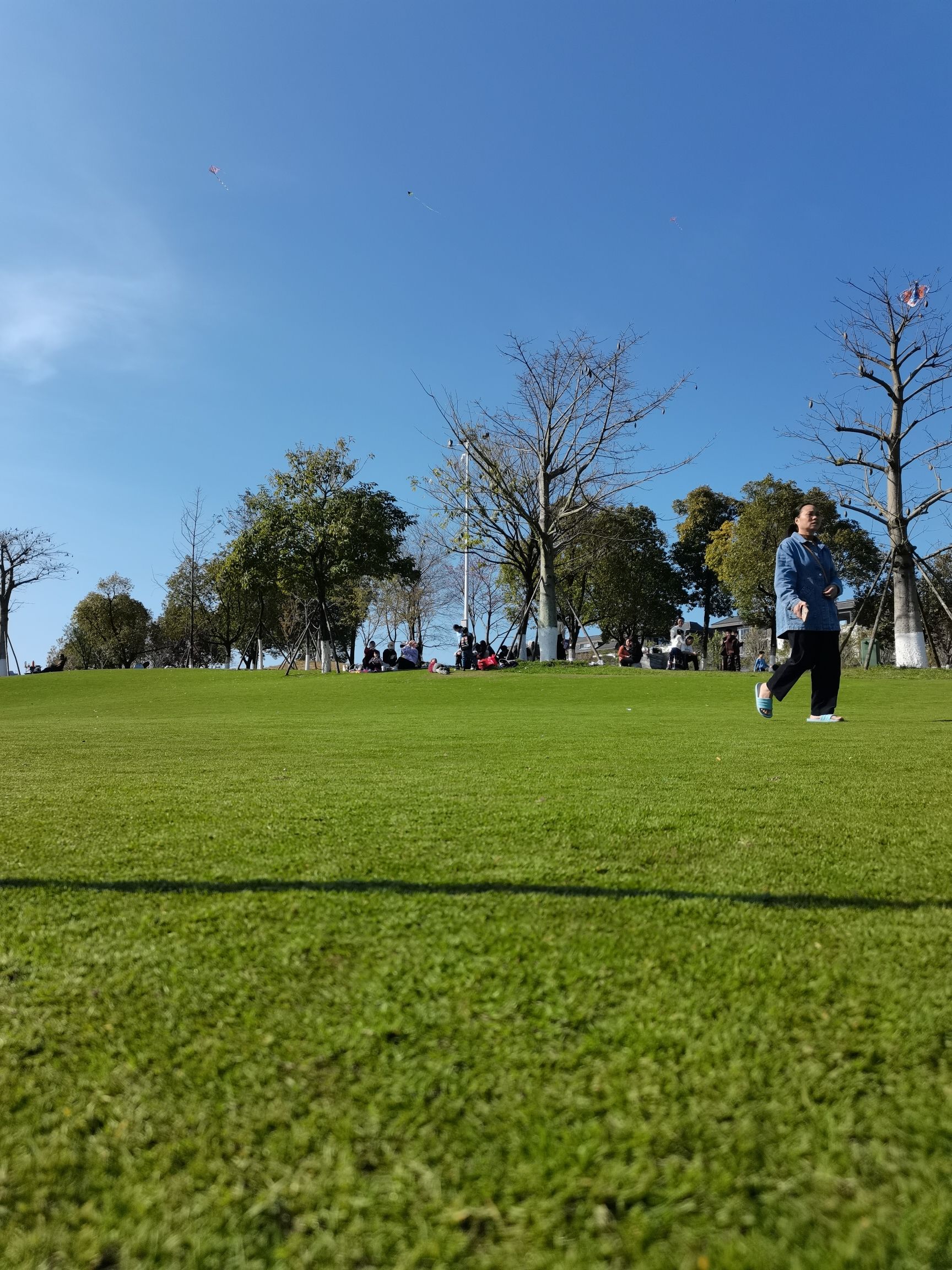 龙岩紫金山公园旅行图片