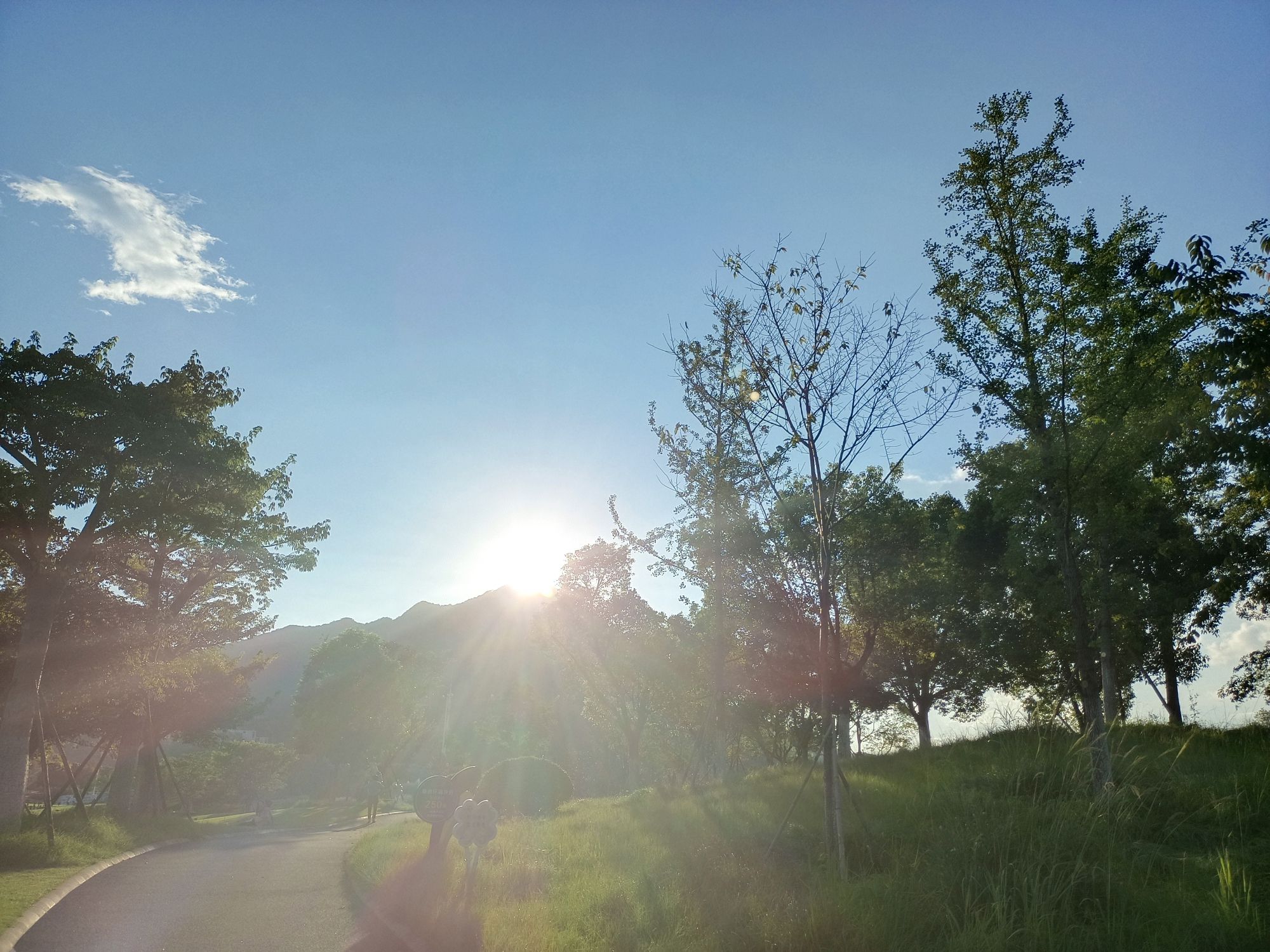 龙岩紫金山公园旅行图片