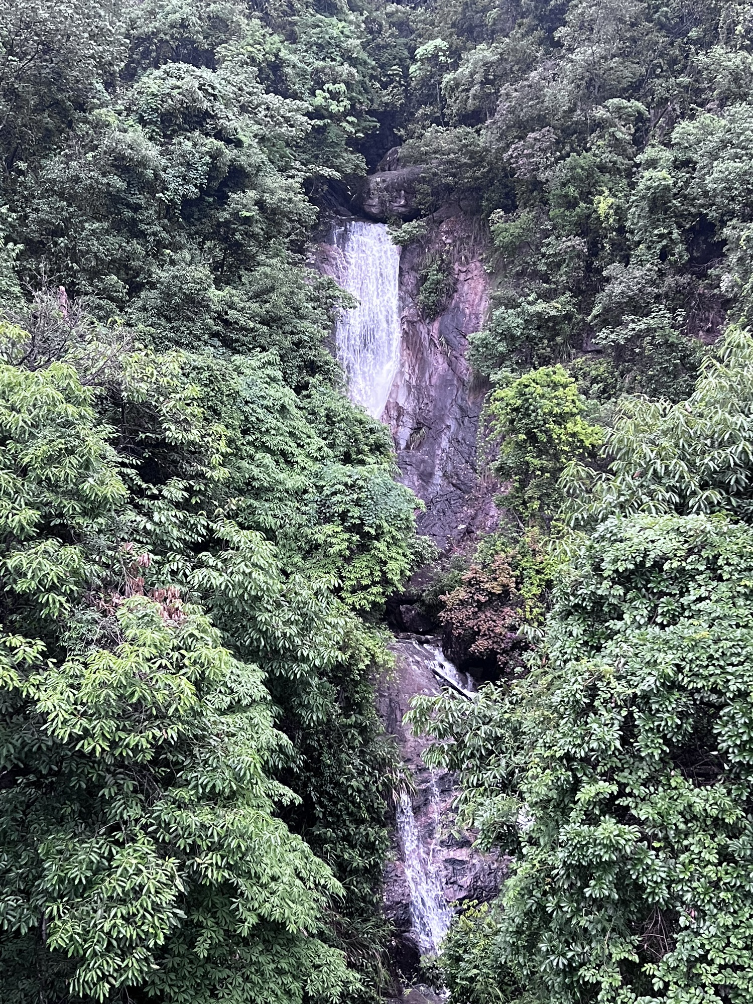 三明仙人谷国家森林公园
