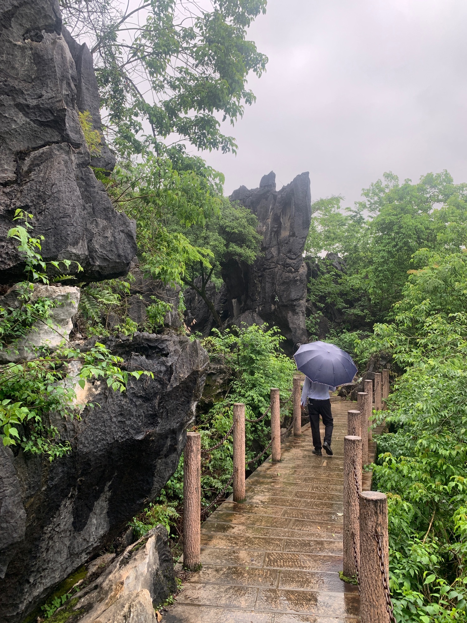鳞隐石林