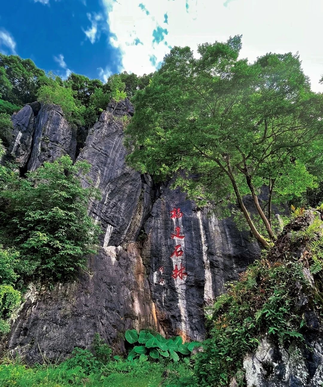 鳞隐石林旅行图片