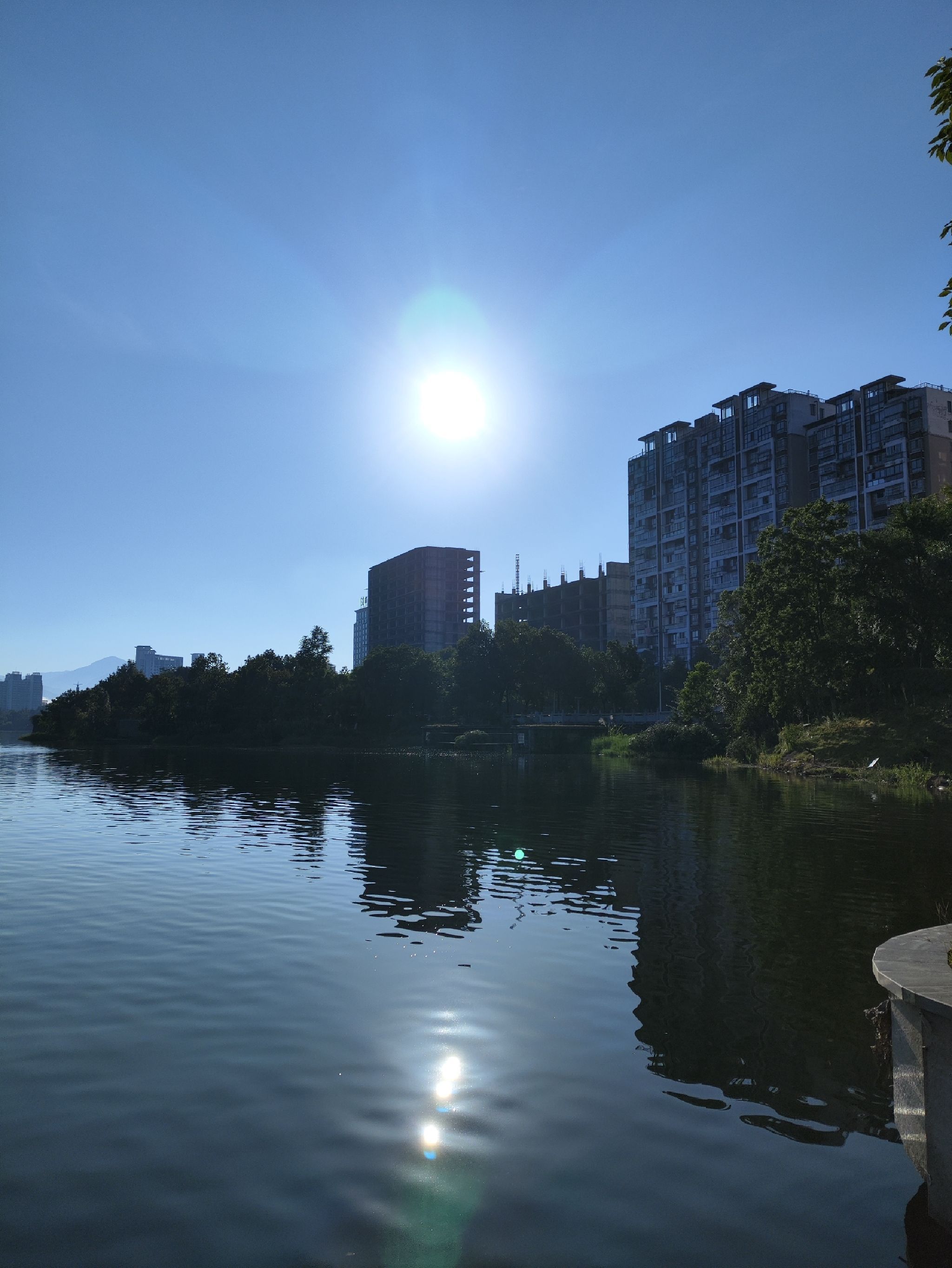 龙湖公园旅行图片