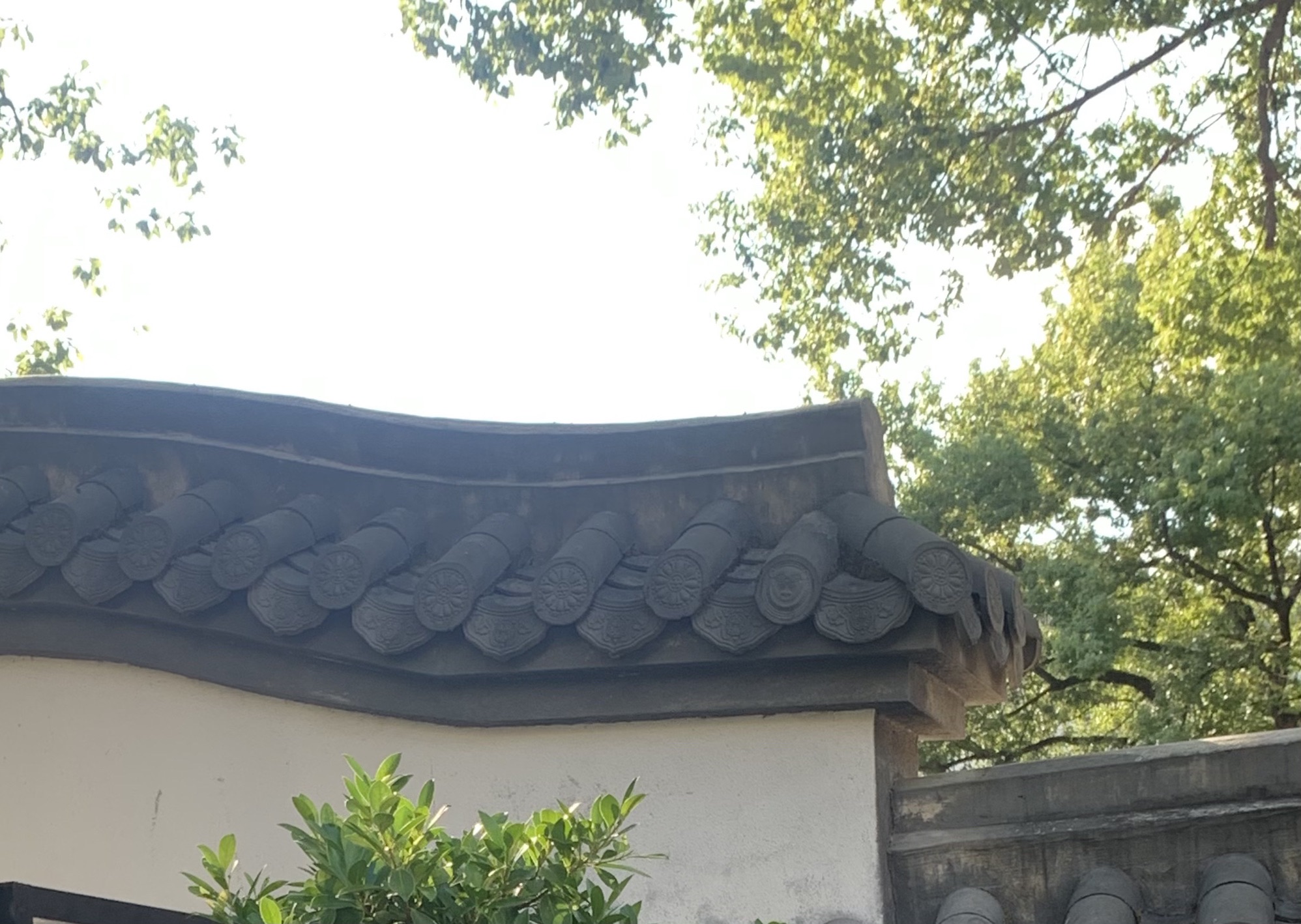 杨真公园