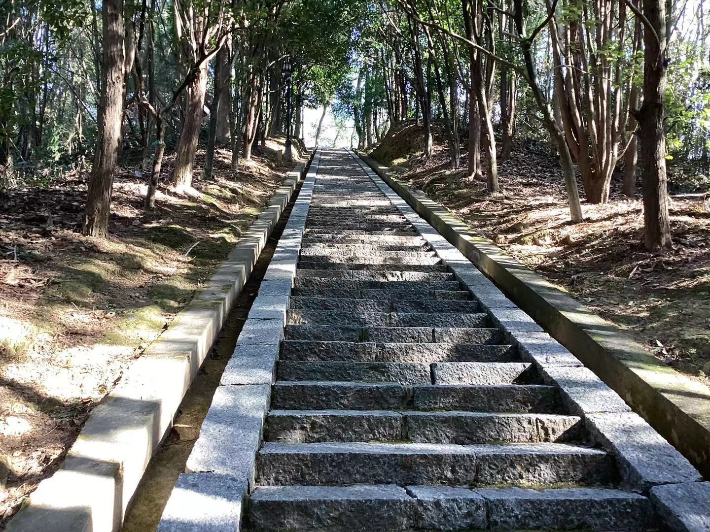 仙楼山森林公园