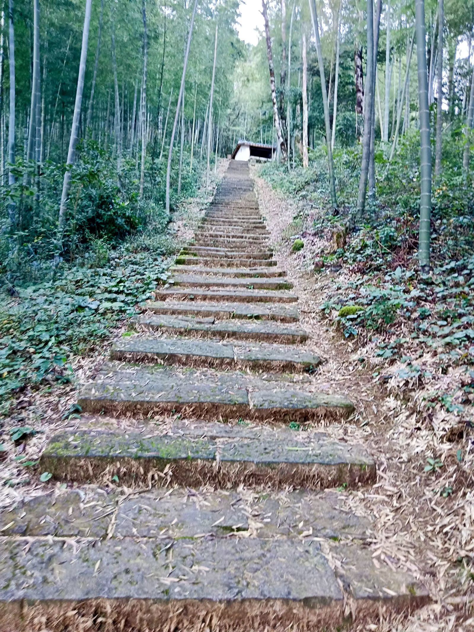 宝山风景名胜区旅行图片