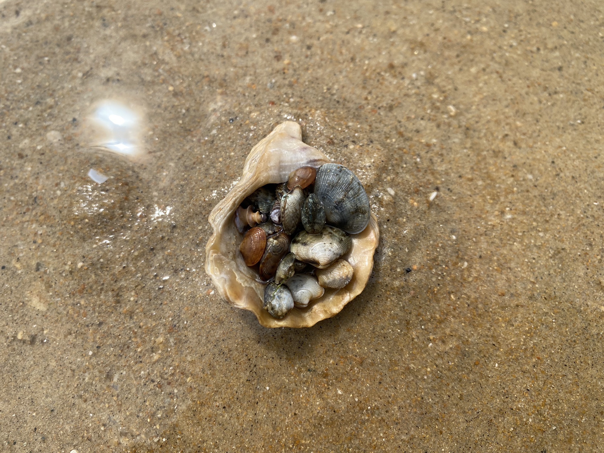 海上公园
