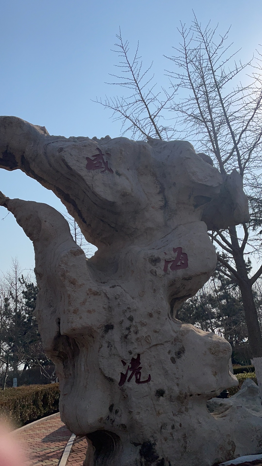 威海港公园旅行图片