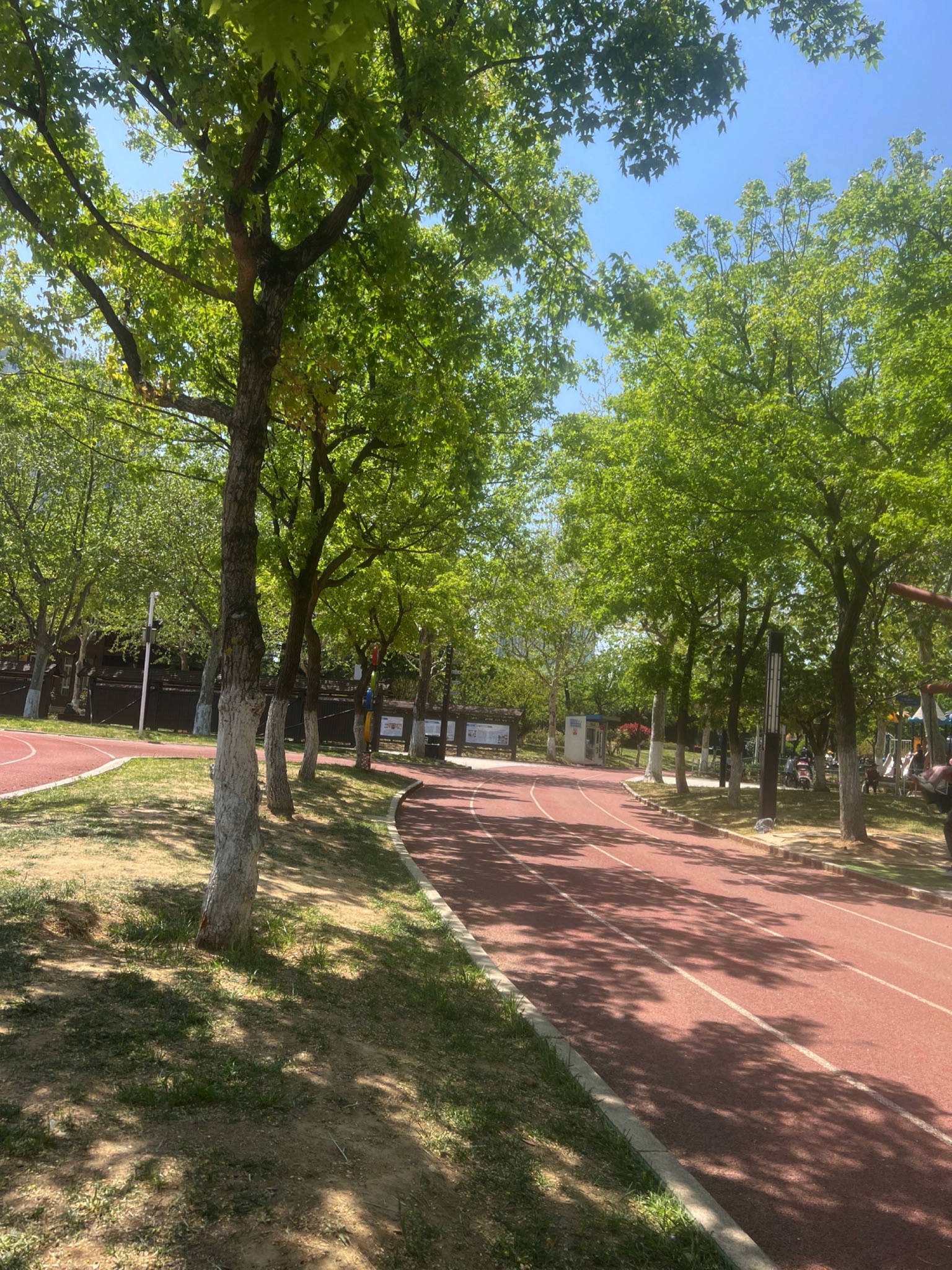 乐天休闲体育公园旅行图片