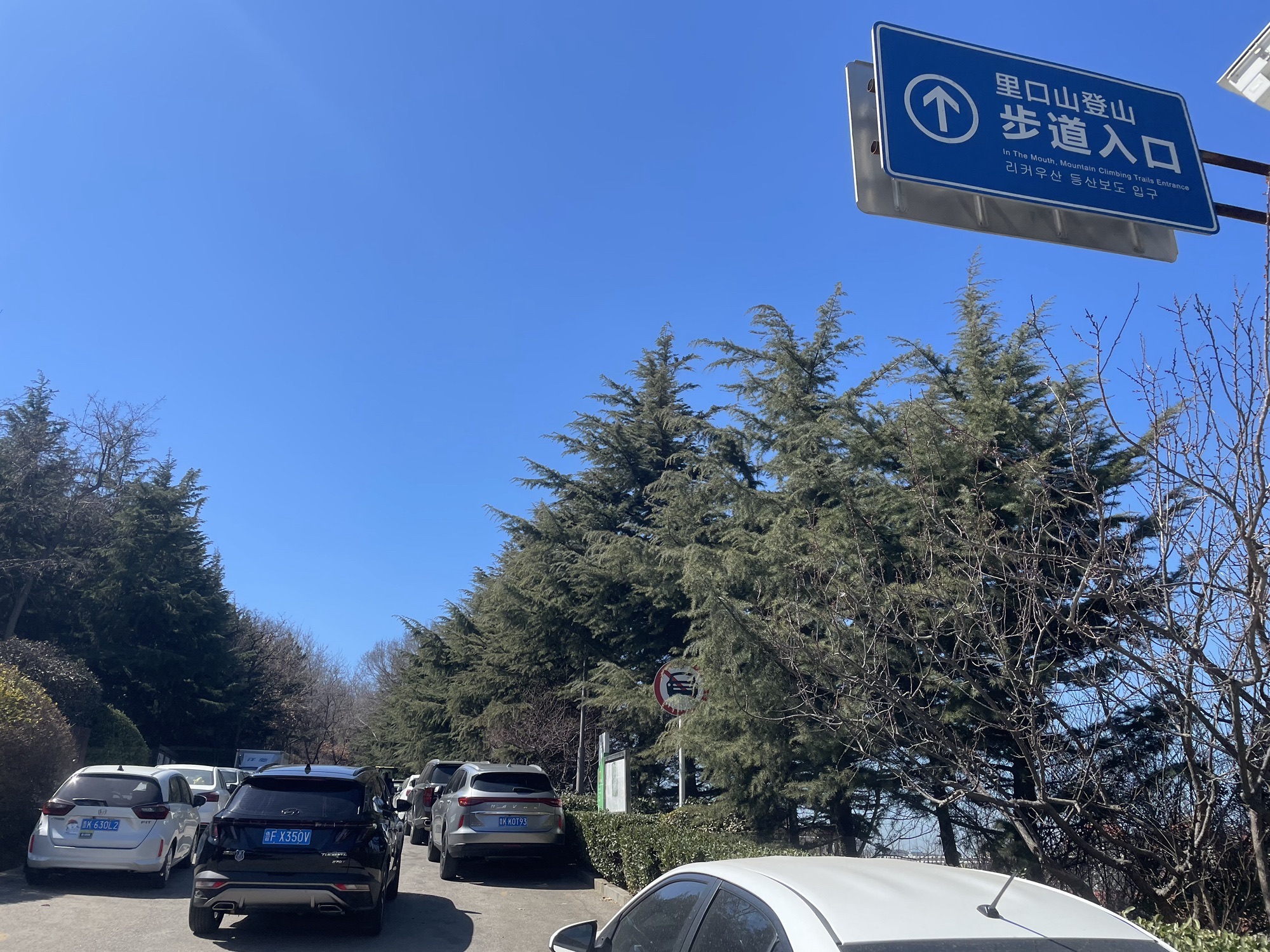 塔山公园旅行图片