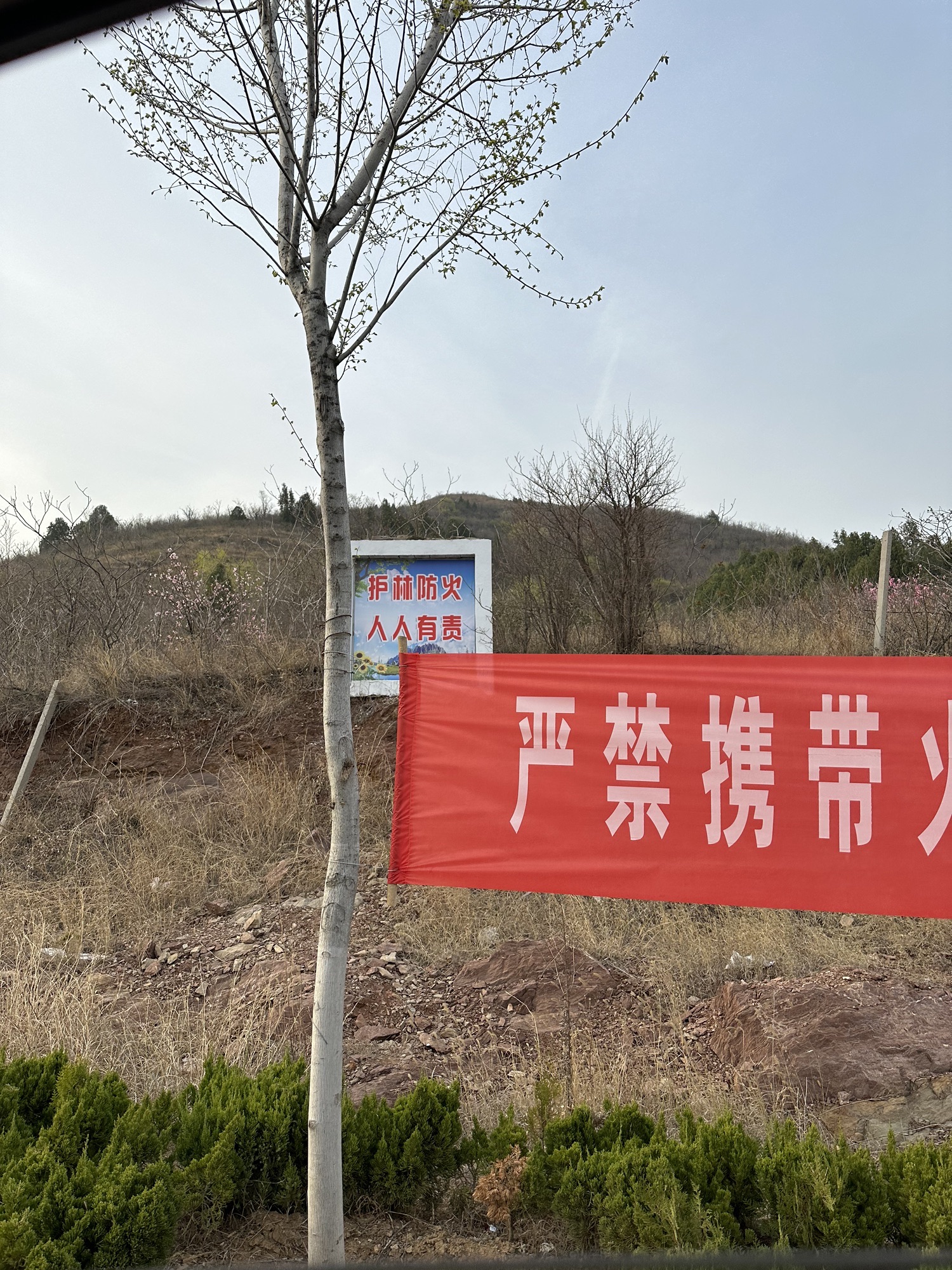 九顶山仙人洞地质地貌景观保护区