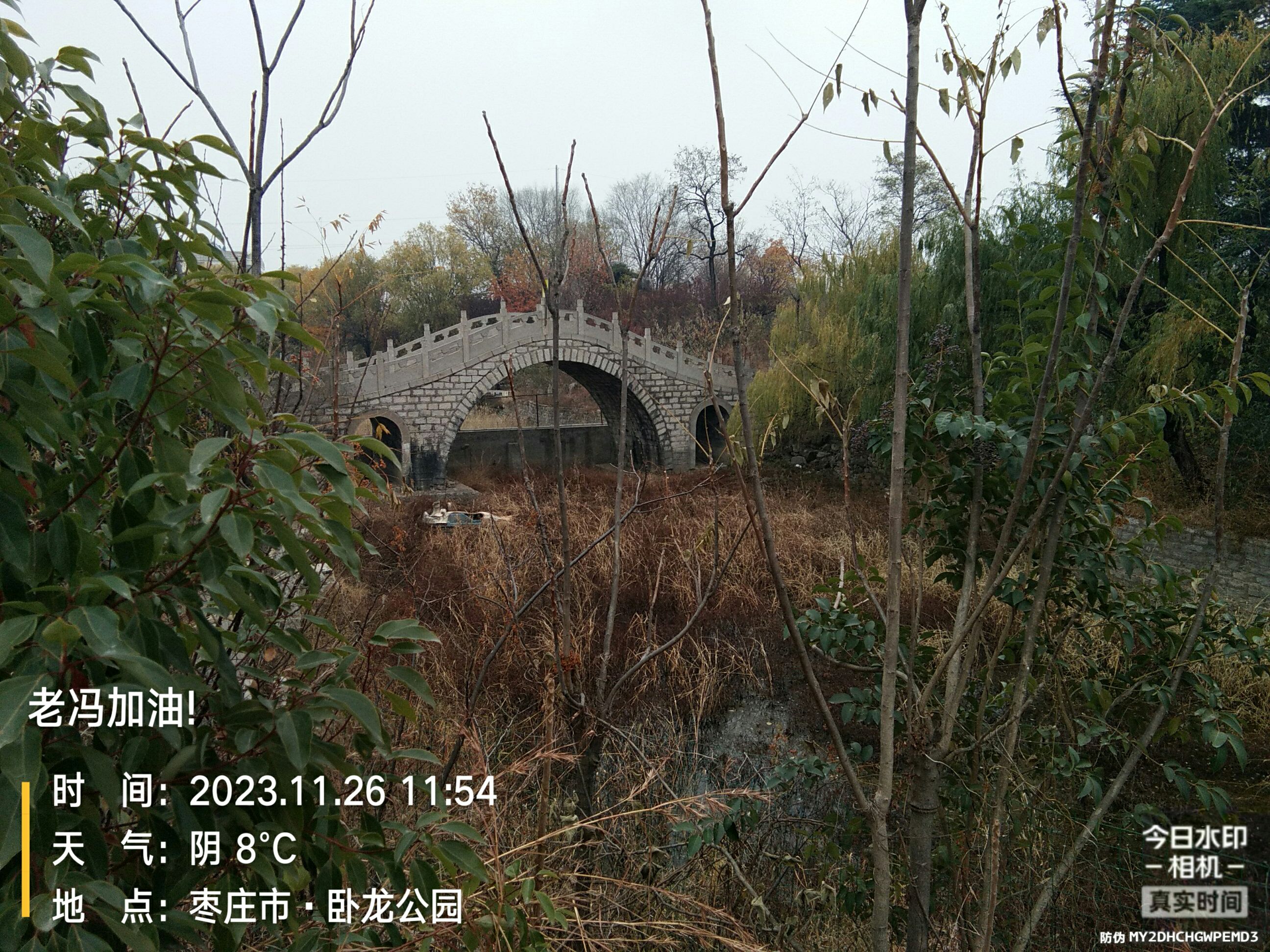 卧龙公园