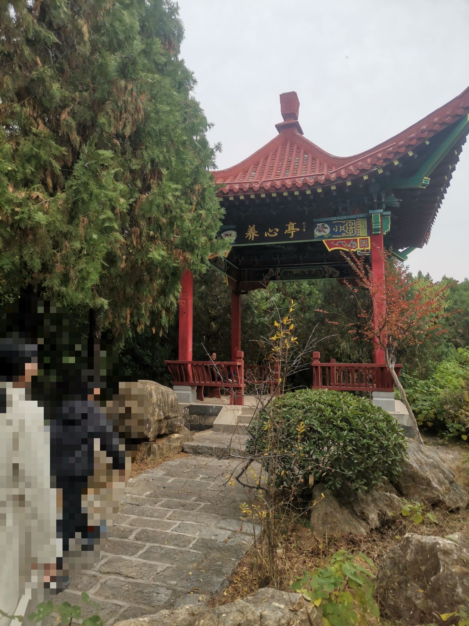 龟山公园旅行图片