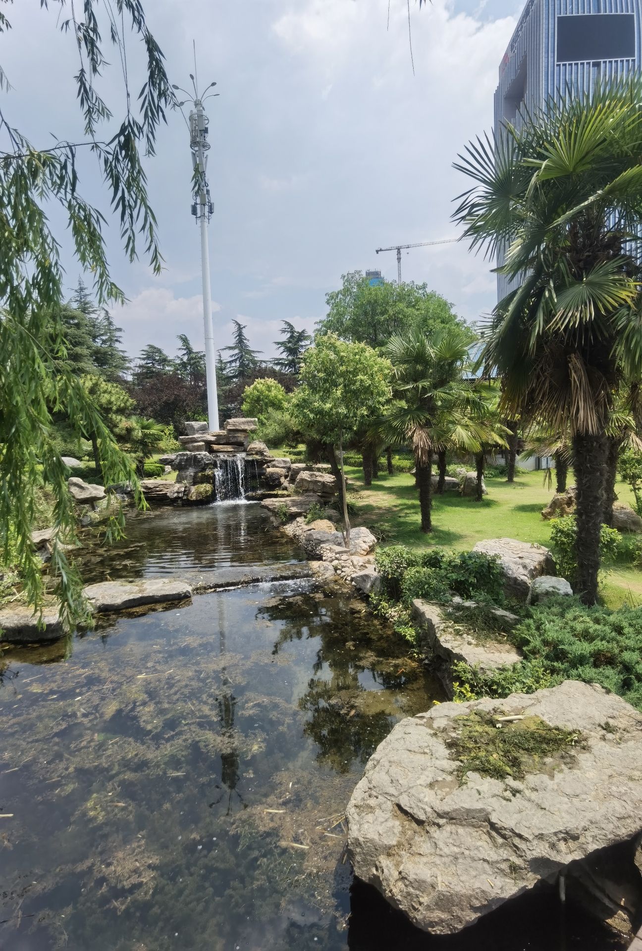凤鸣公园旅行图片