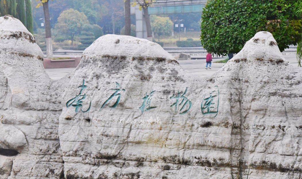 凤鸣公园旅行图片