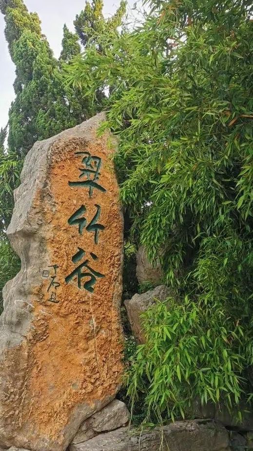 翠竹谷