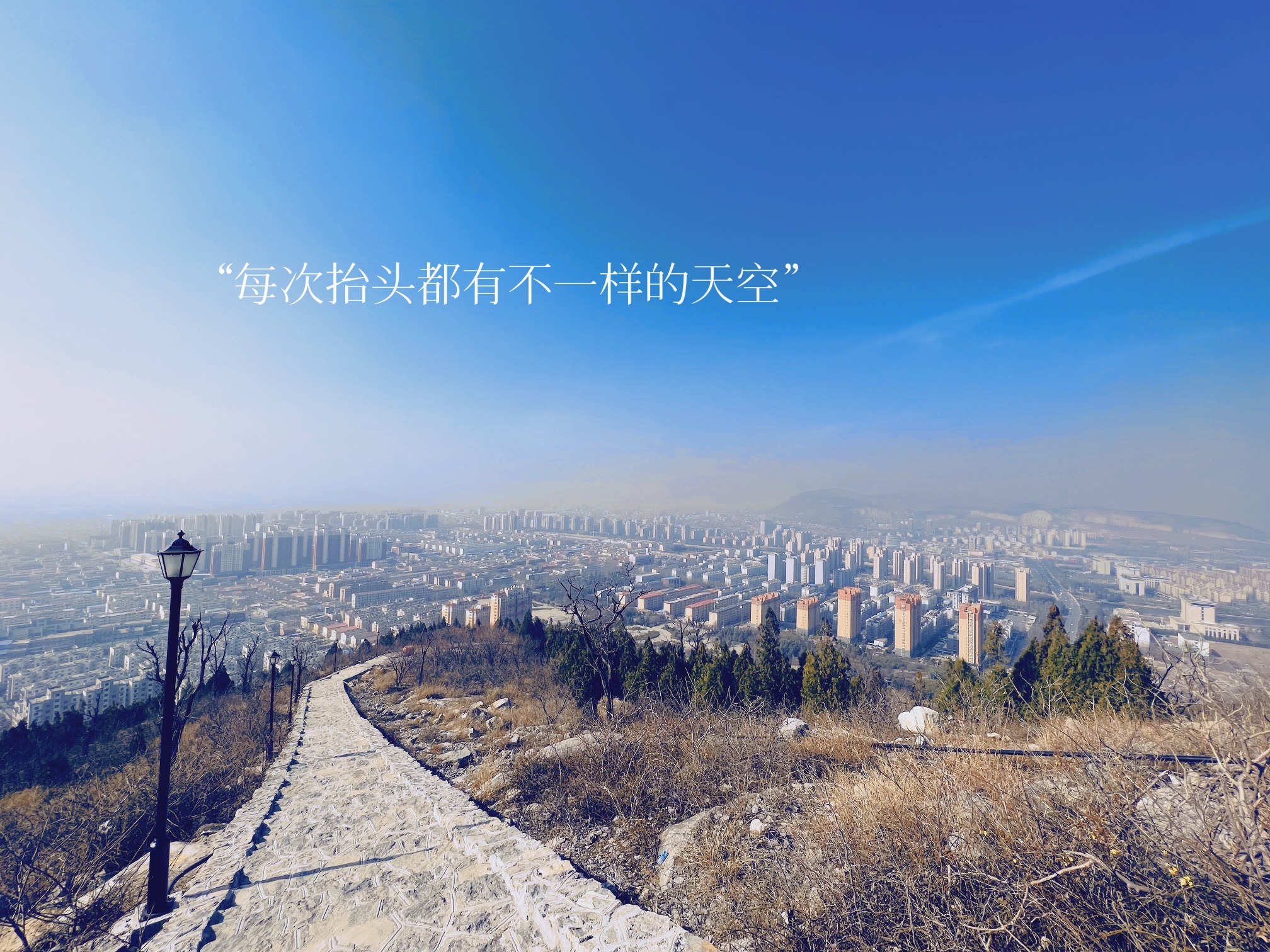 仙坛晓翠旅行图片
