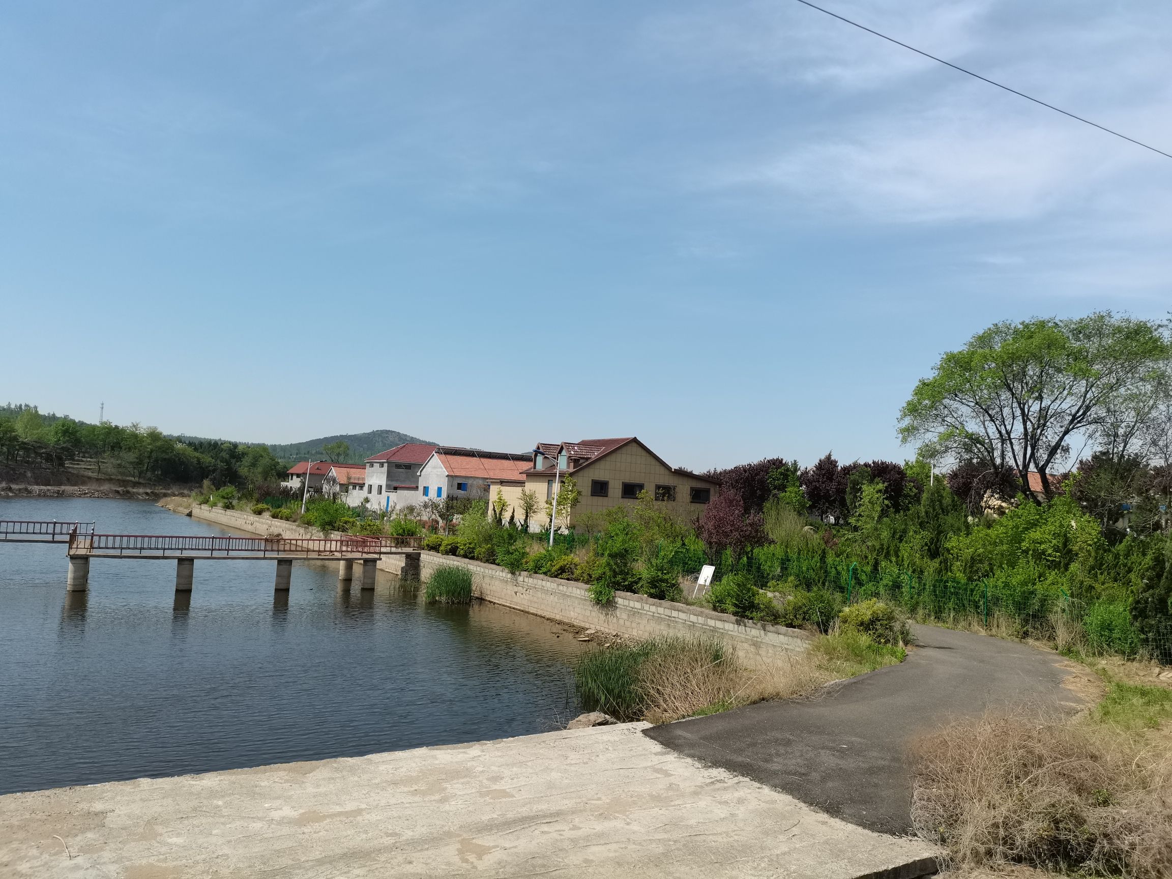 莲生湖公园