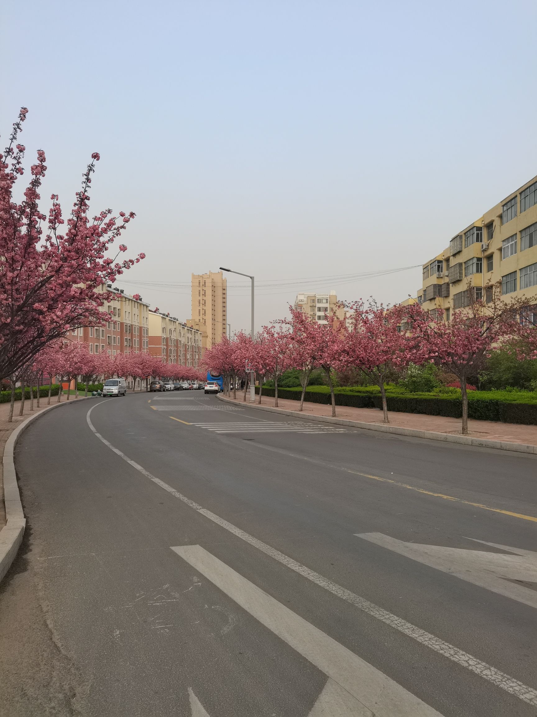 幸福公园