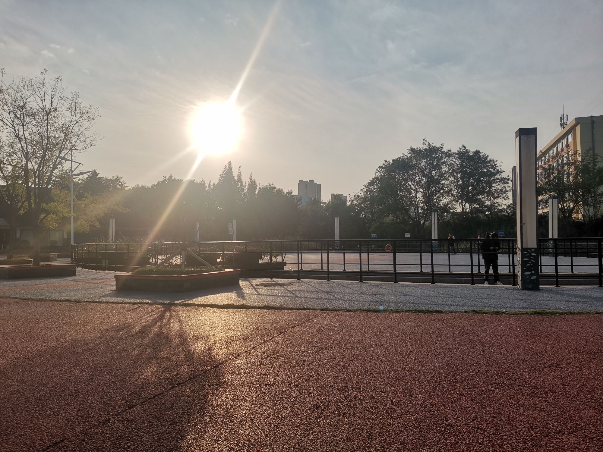 日照大学科技园公园