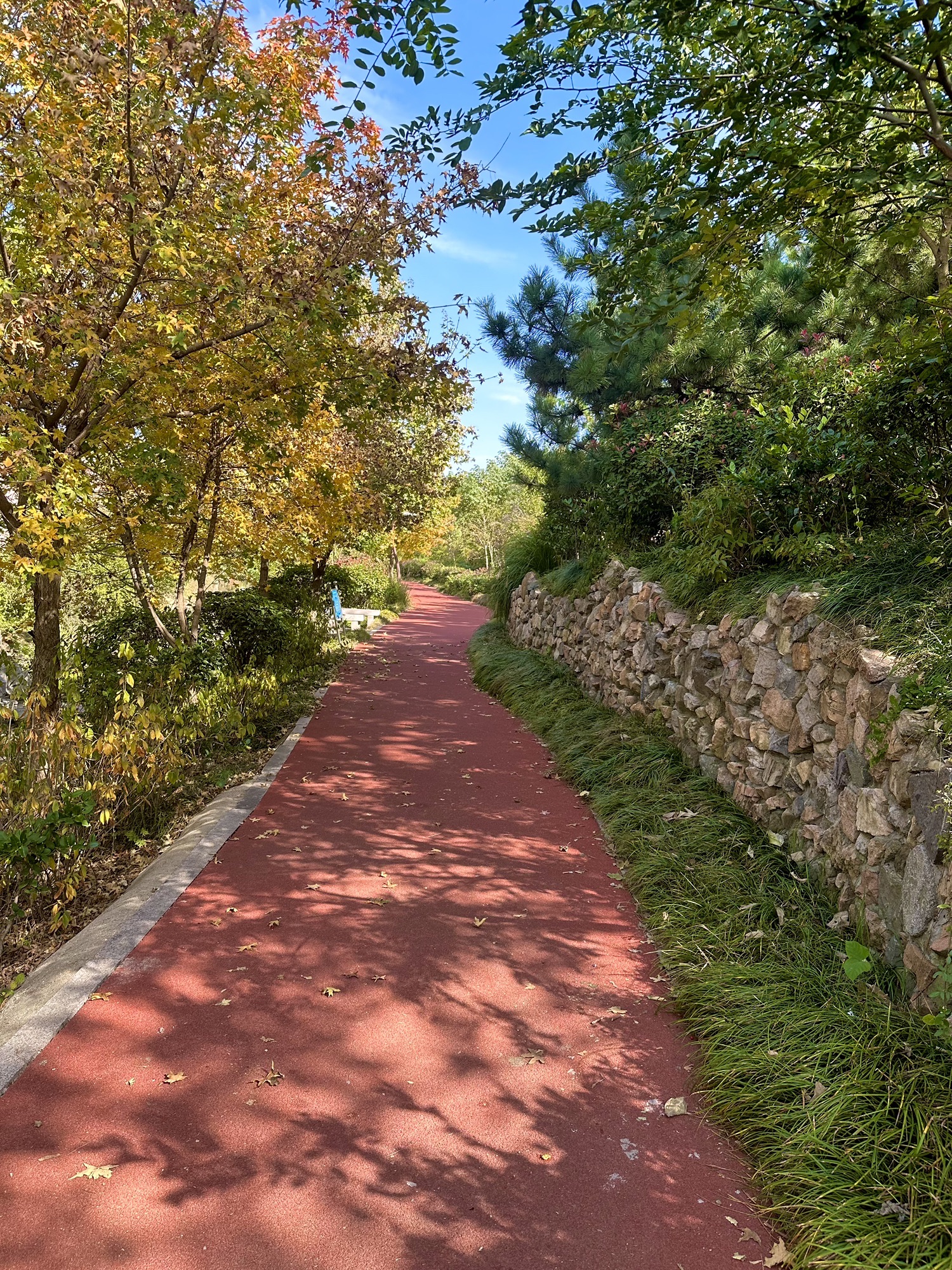 日照大学科技园公园旅行图片