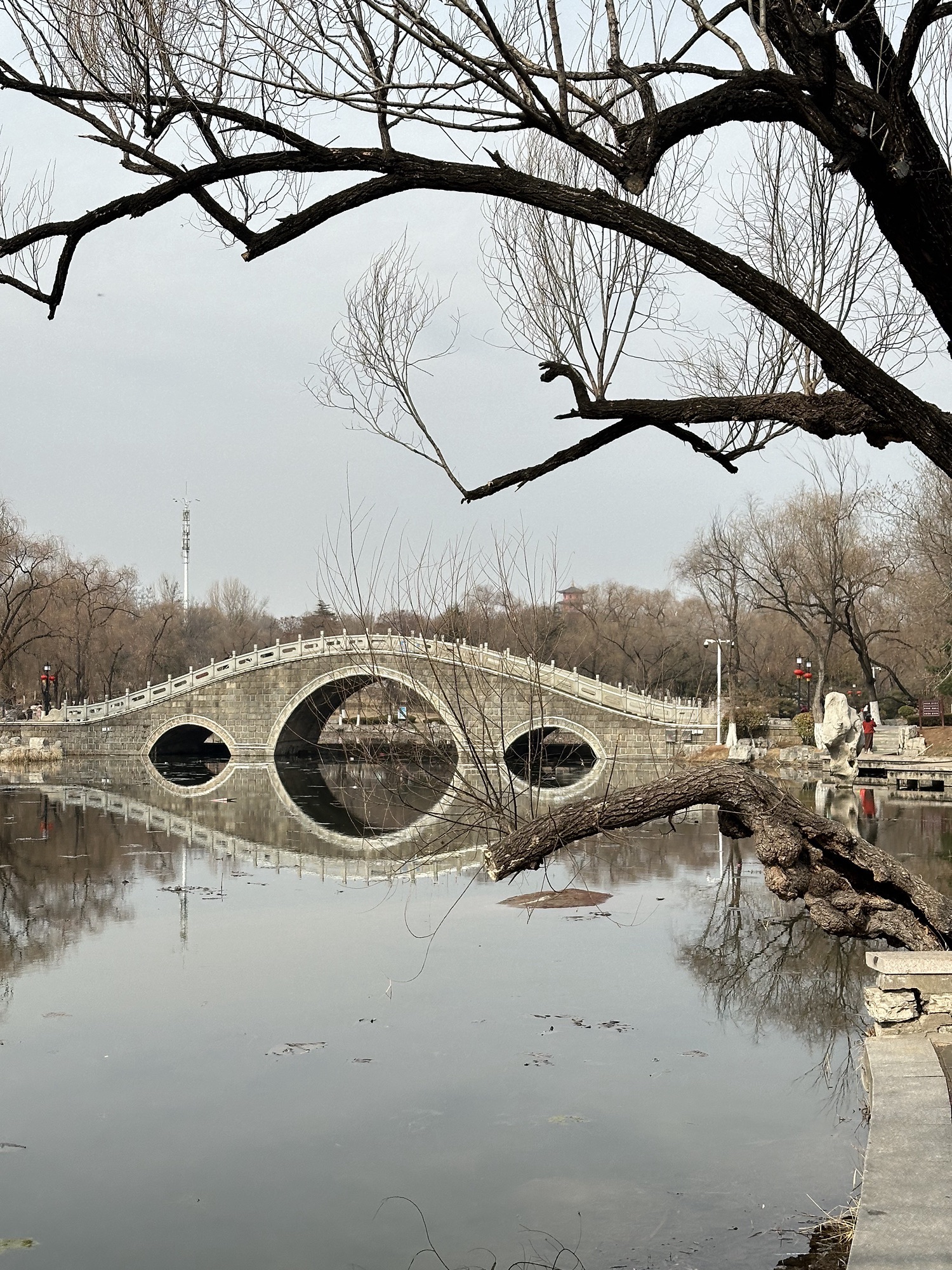 红石公园