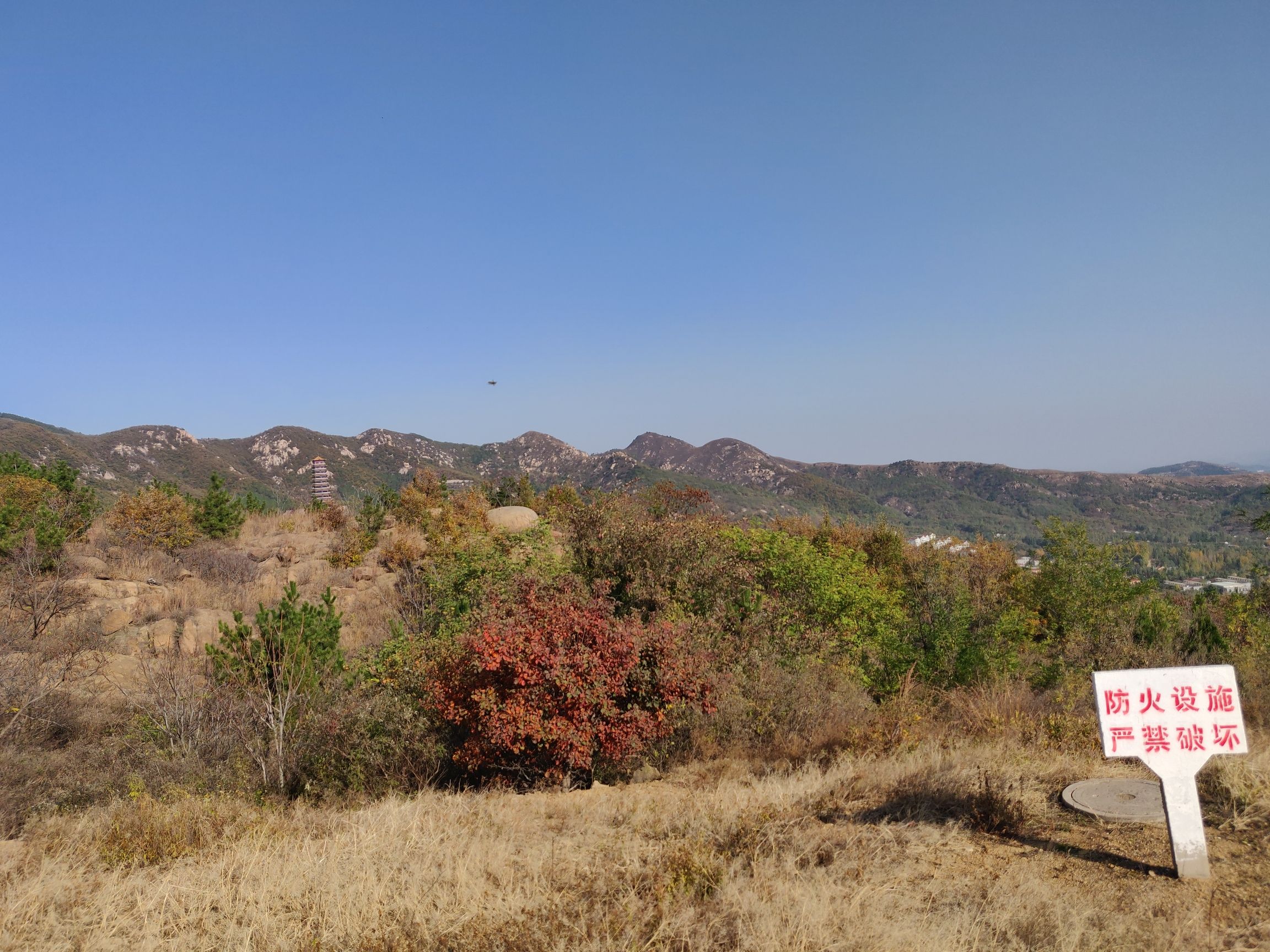 莱芜华山国家森林公园旅行图片