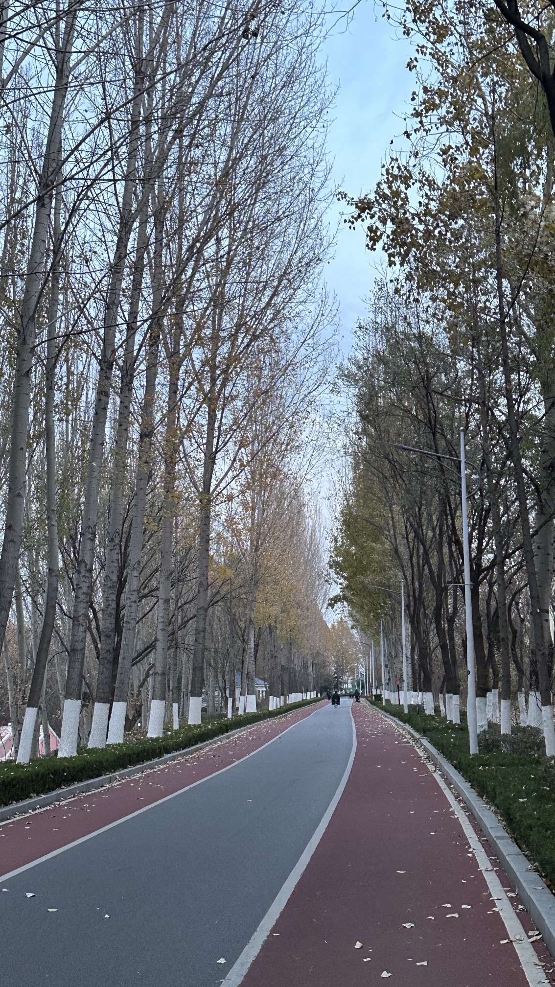 莲河公园旅行图片