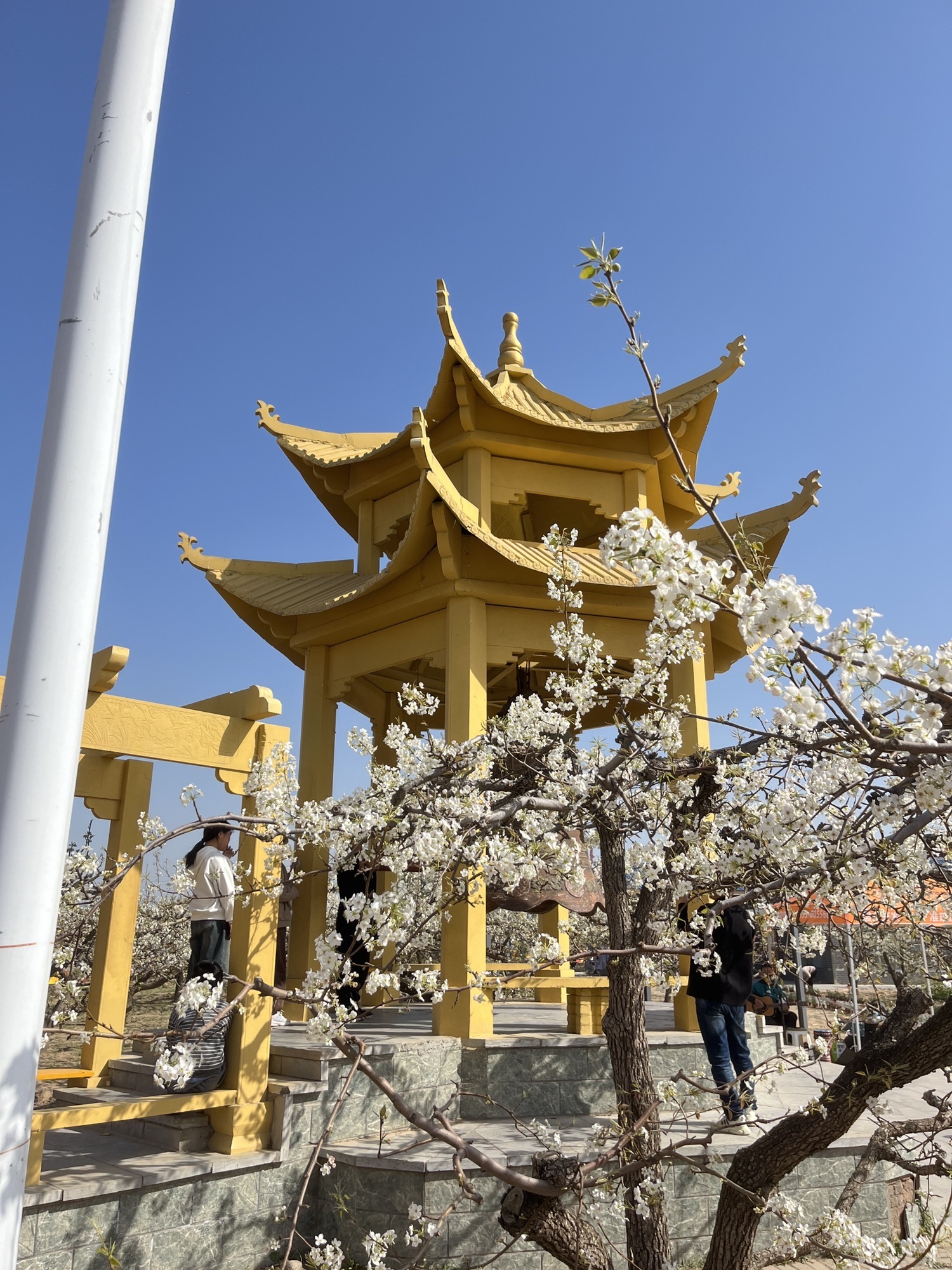 冠州梨园