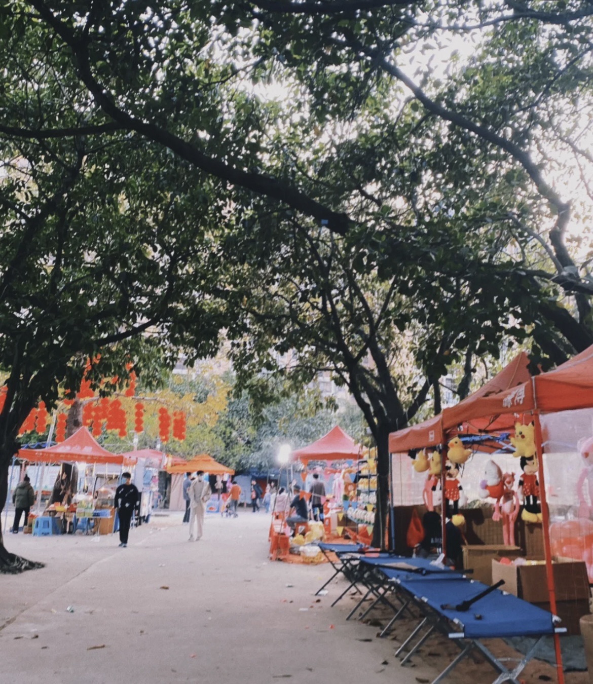 玉照公园旅行图片