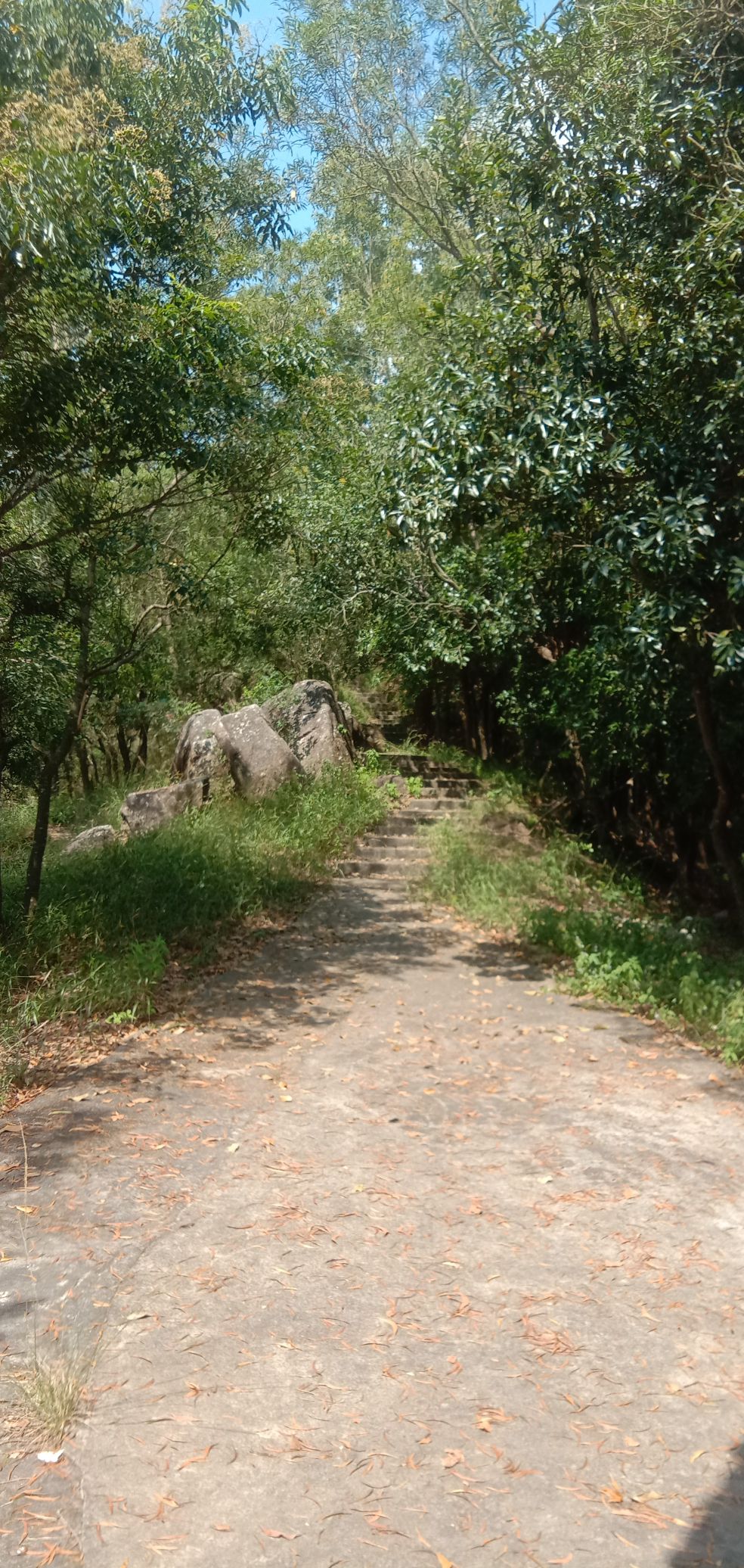 大鹏山公园旅行图片