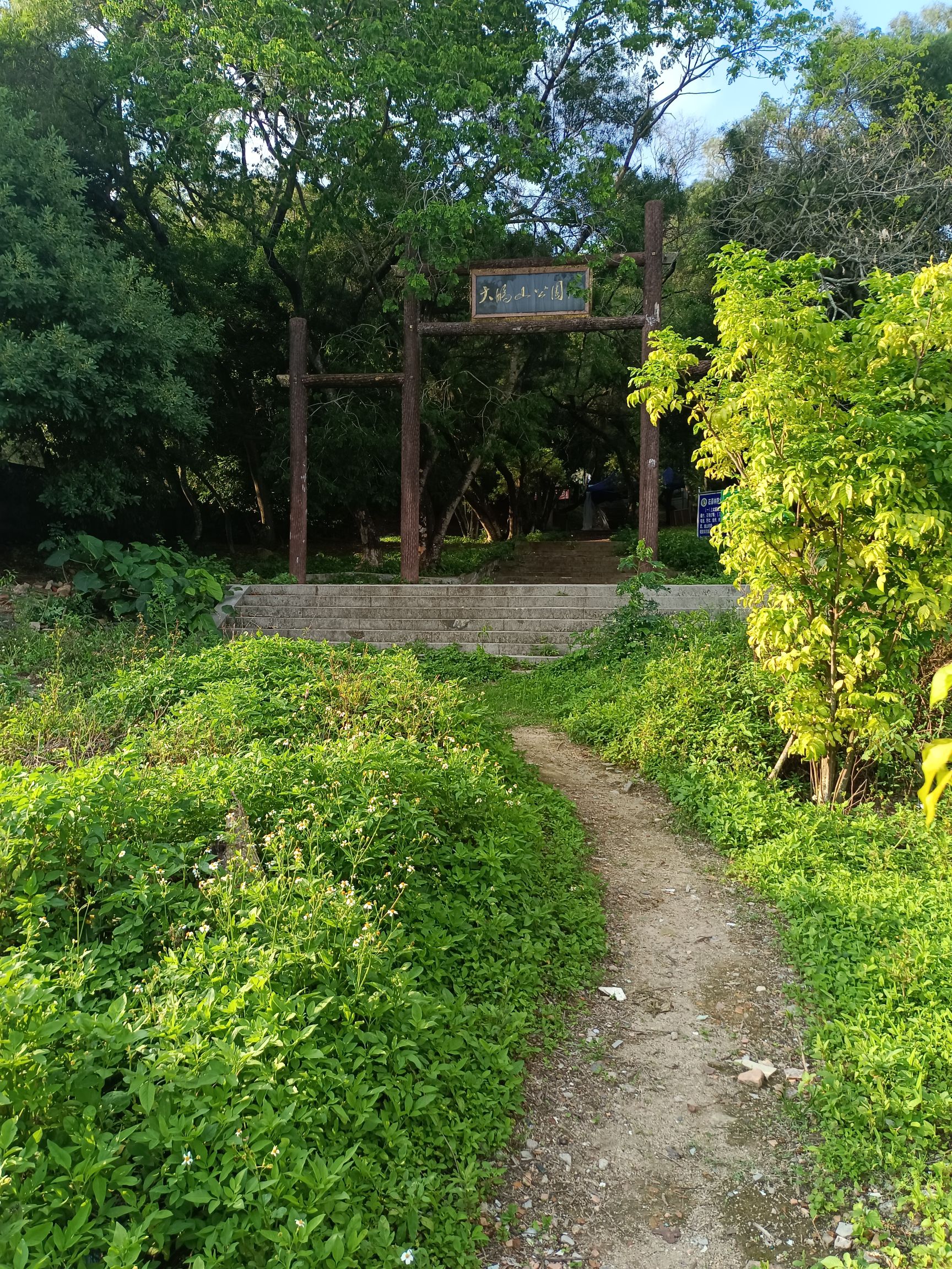 大鹏山公园旅行图片