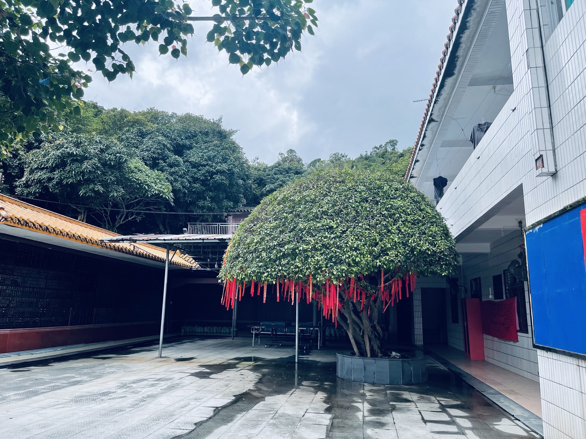 莲花山度假村