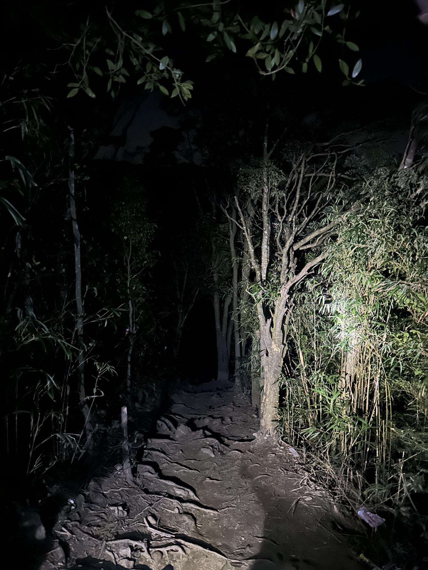 莲花山度假村旅行图片