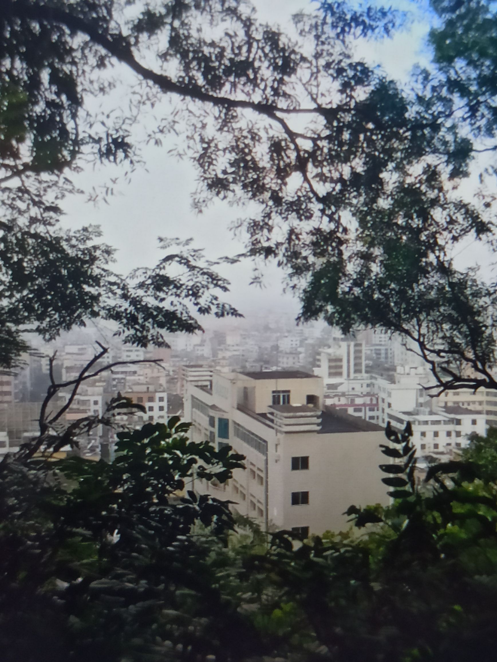 东岳公园