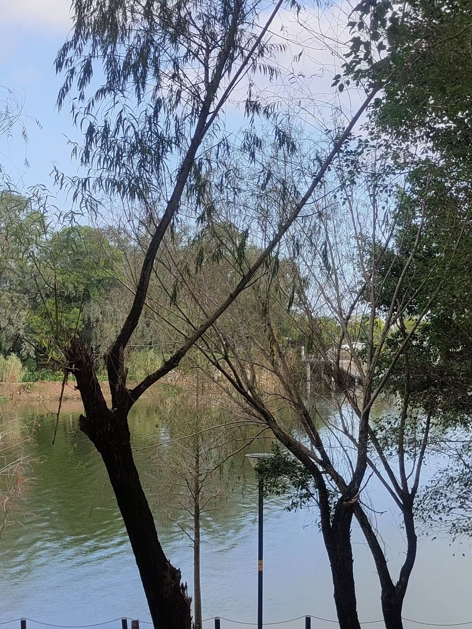 名扬湖畔公园旅行图片
