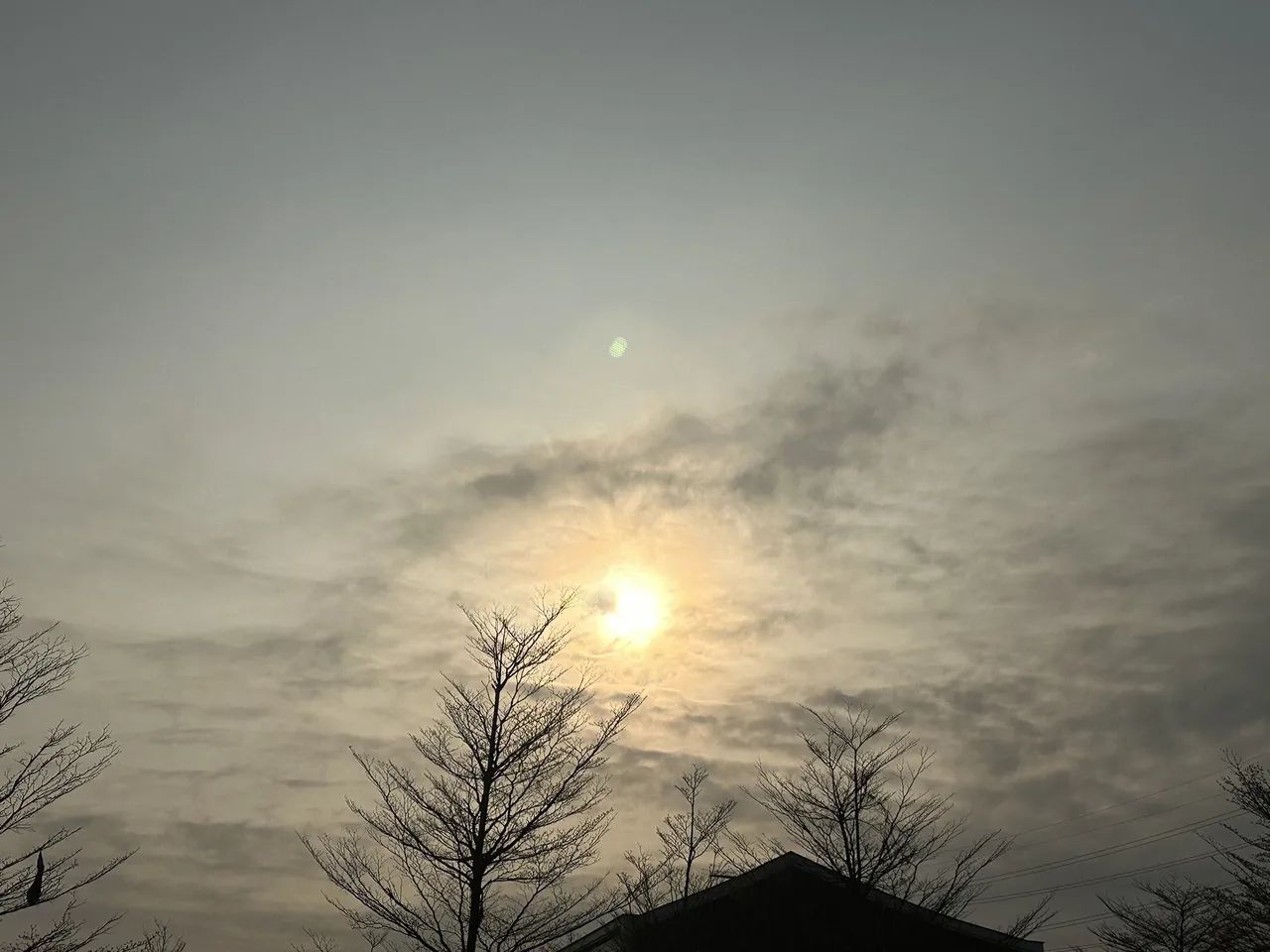 黄岐山森林公园