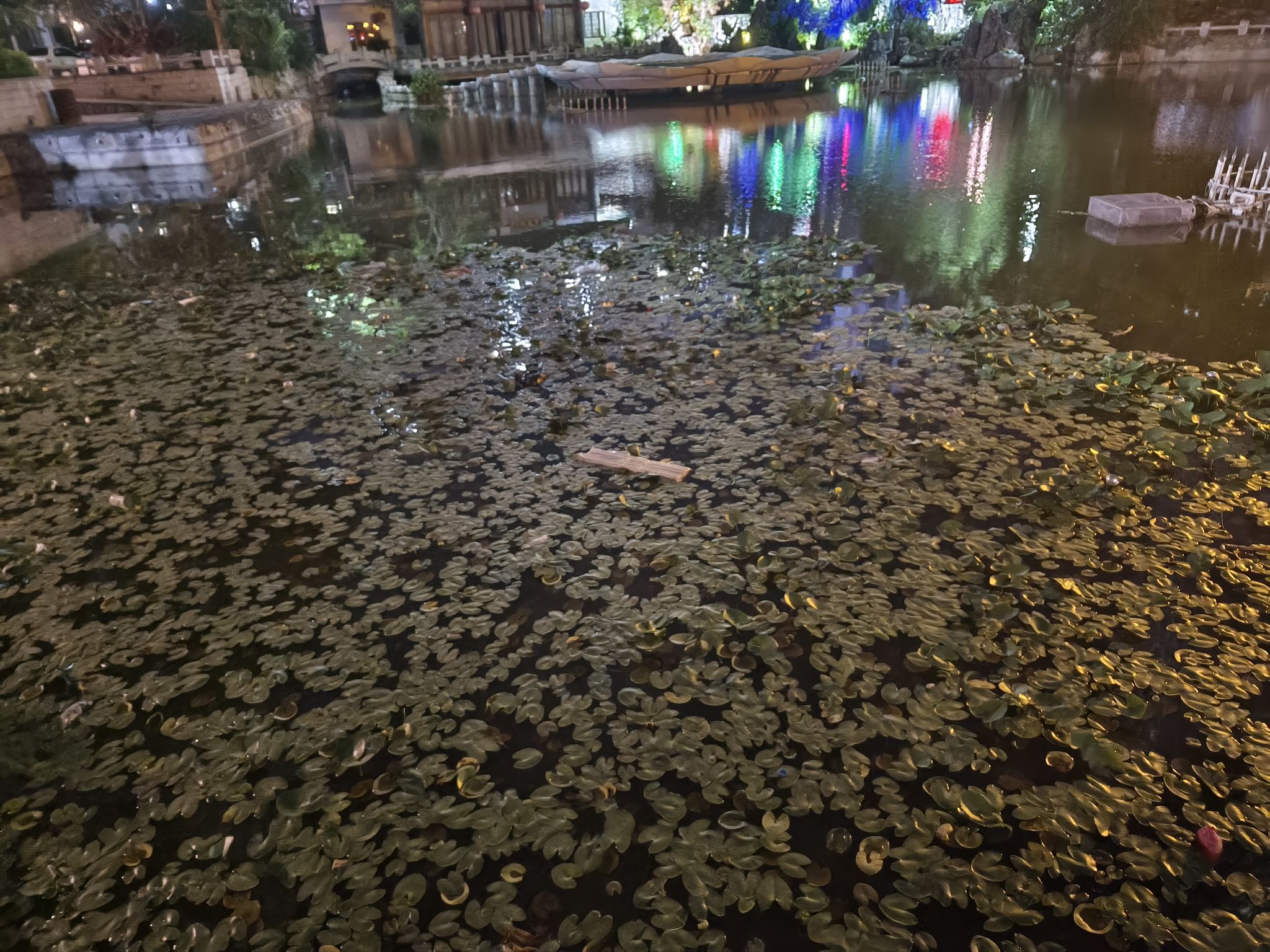 瓜籽池
