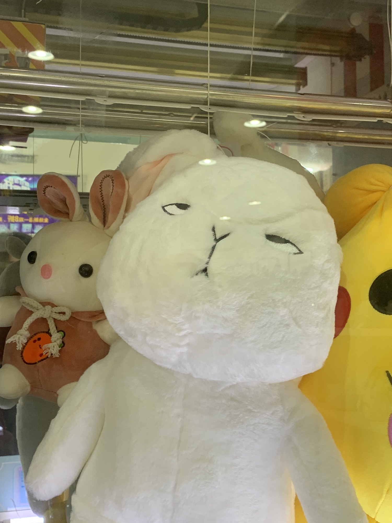 惠来文化广场