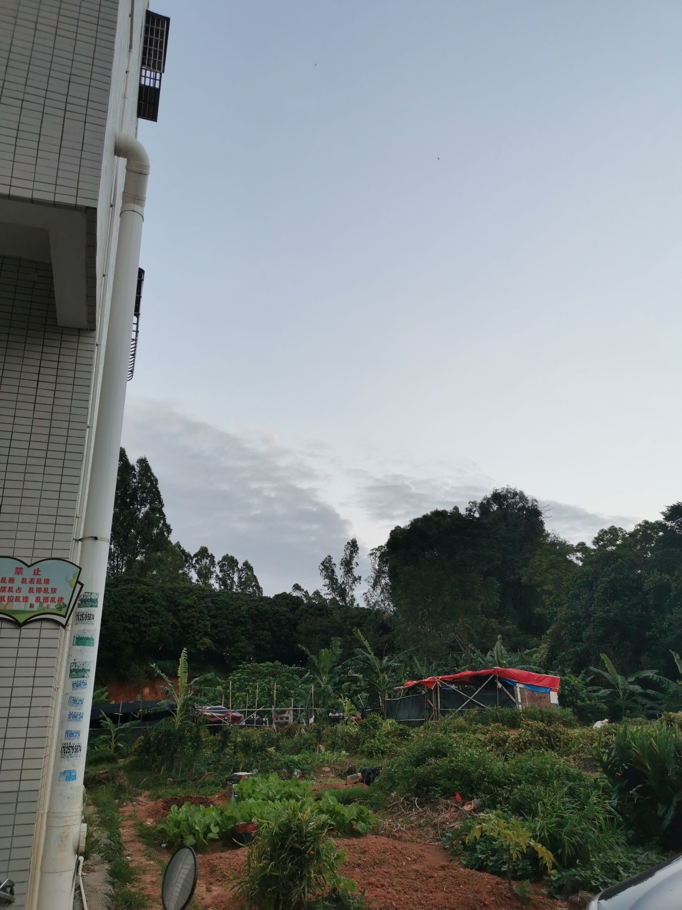 胶林公园