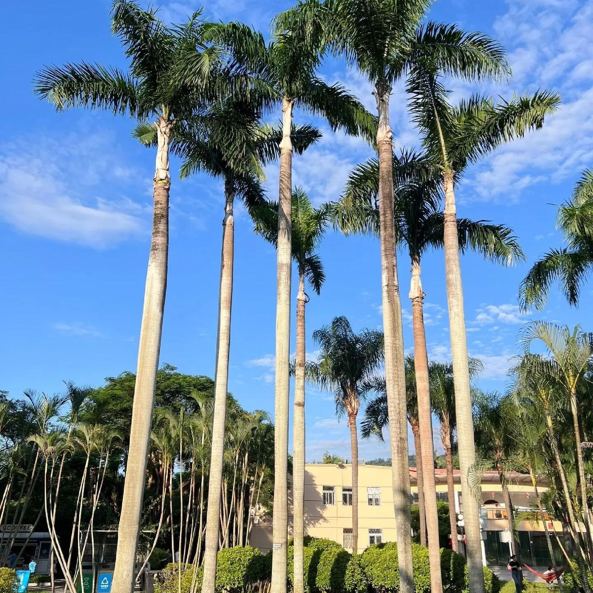 东湖公园旅行图片