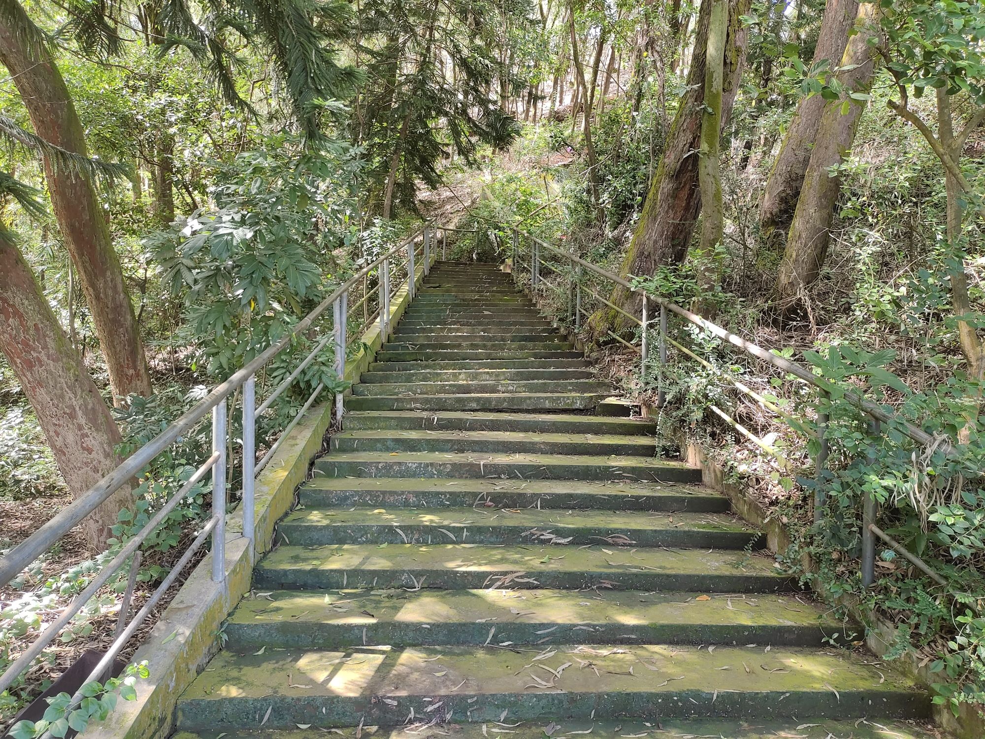 后载岭旅行图片