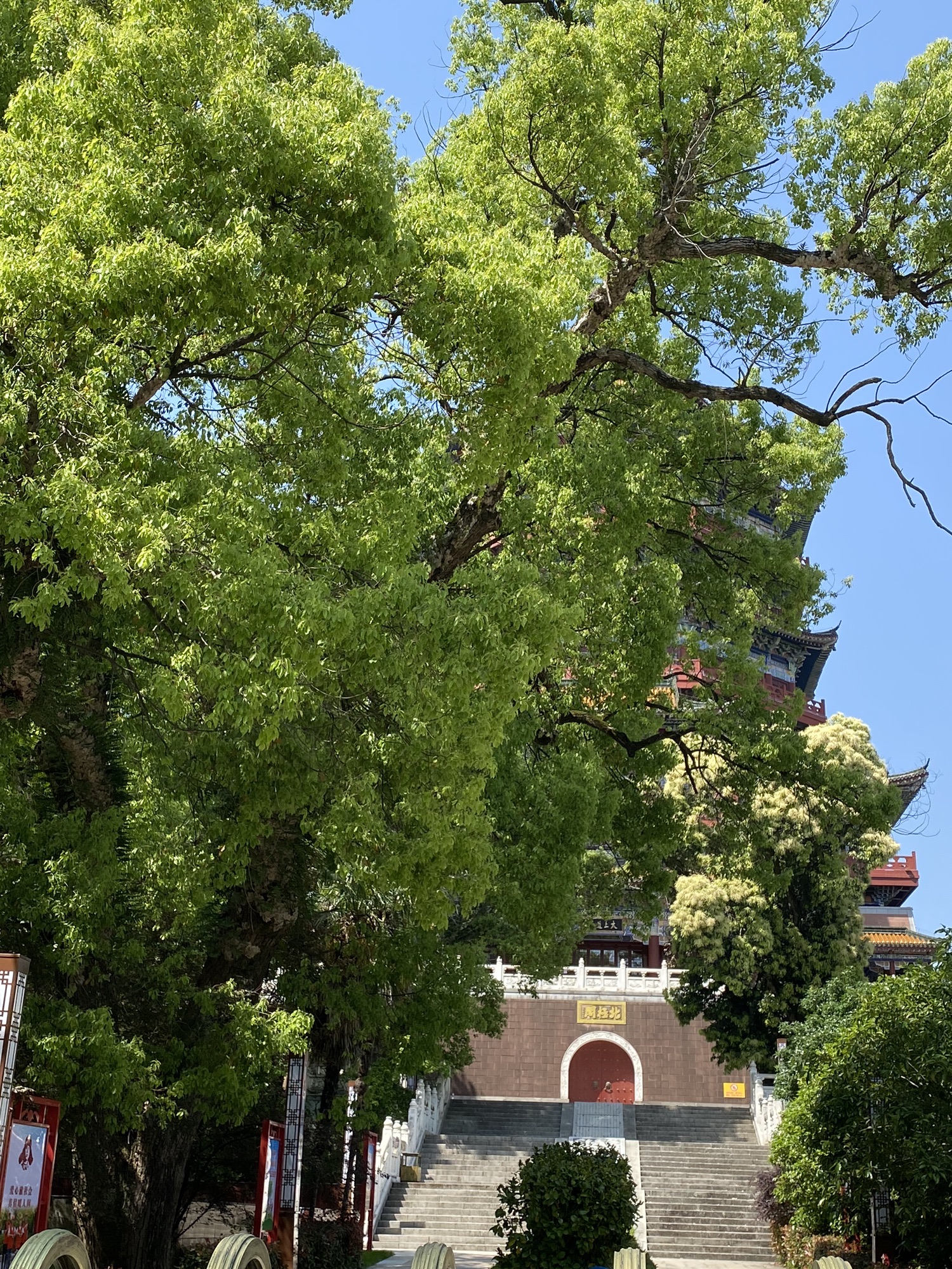 鹰潭滨江公园旅行图片