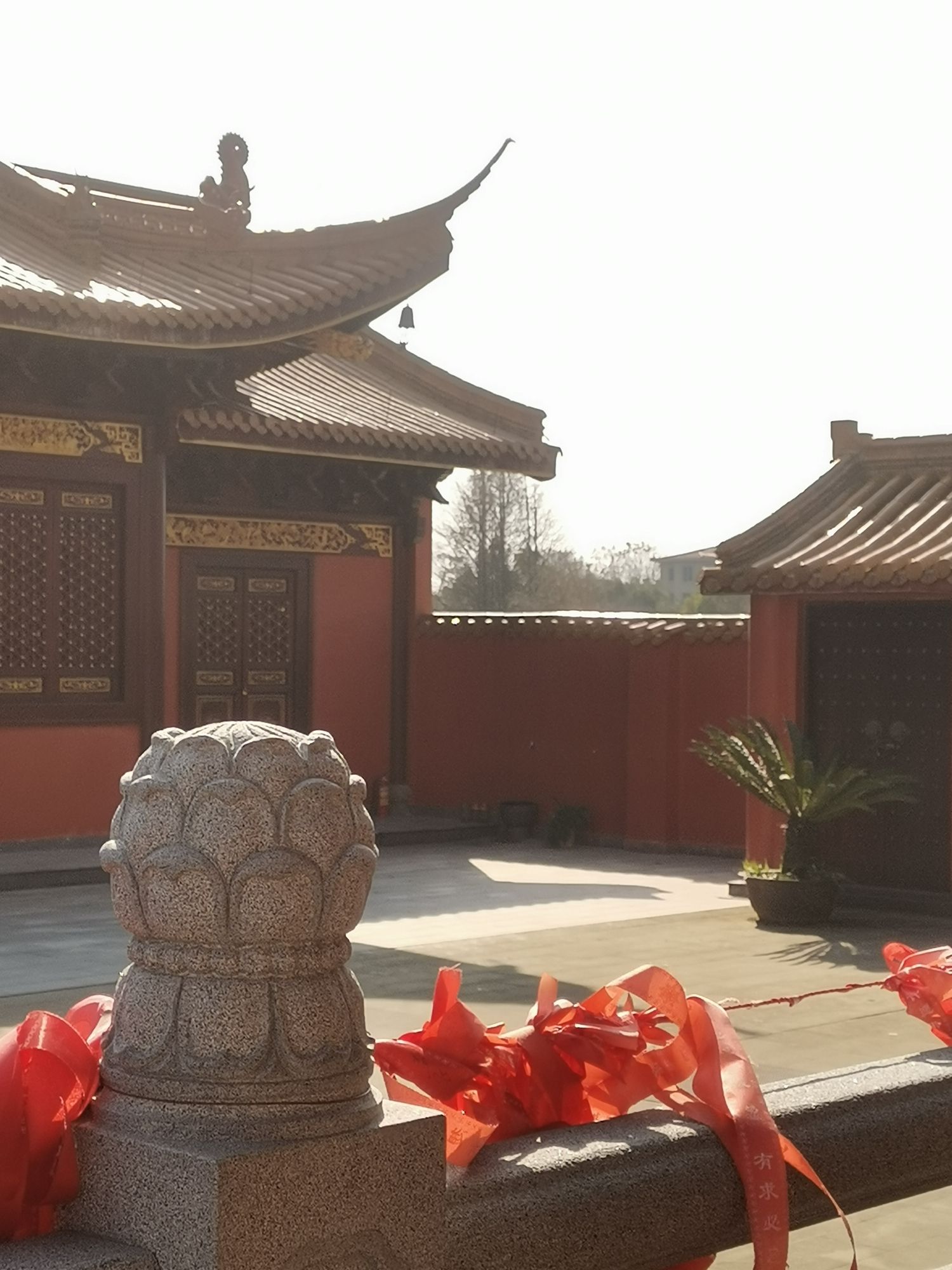 月湖岩公园旅行图片