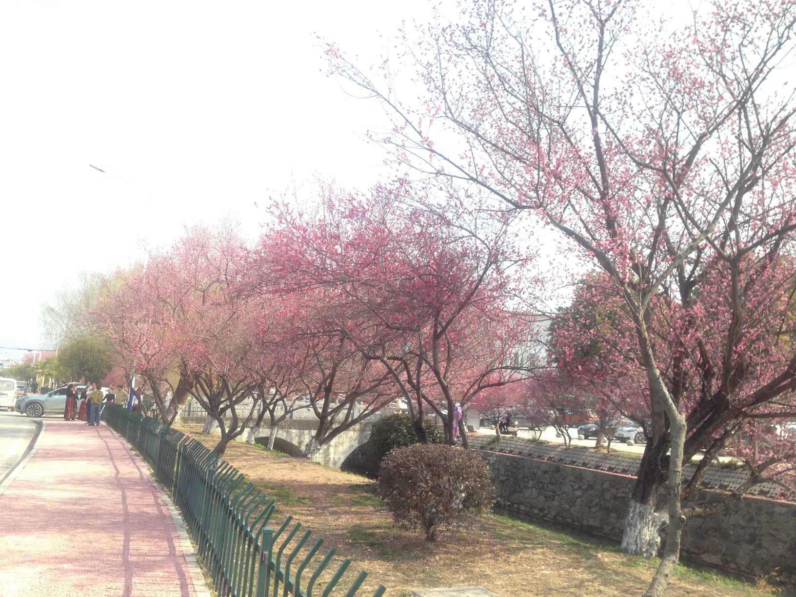 梅川广场旅行图片
