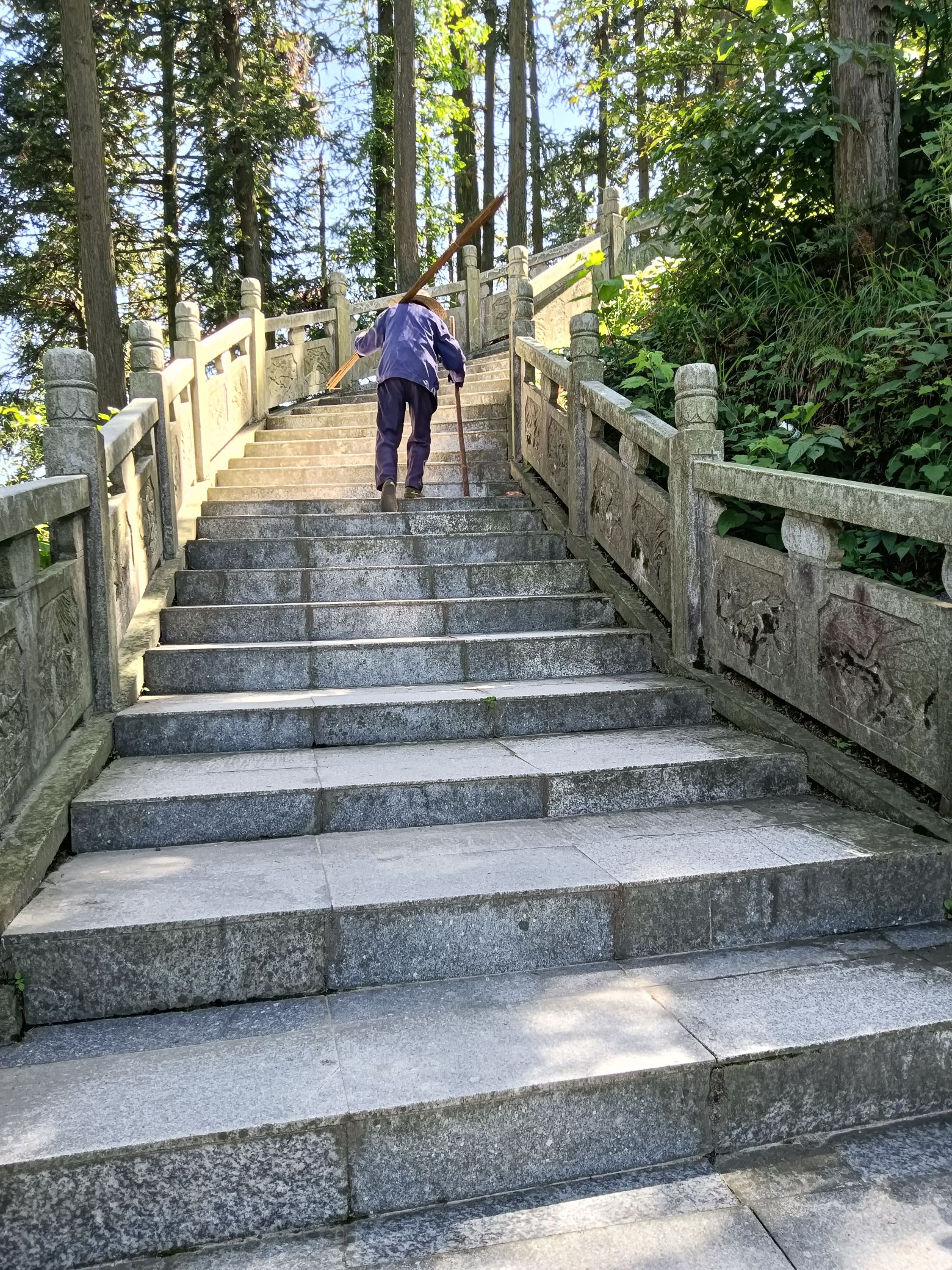 横岗山森林公园